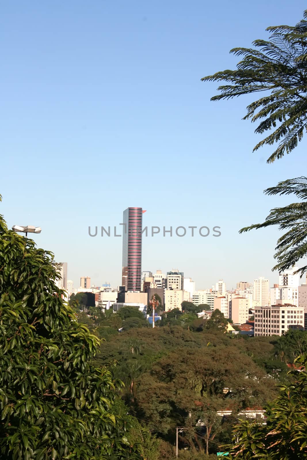 View over Sao Paulo  by Spectral