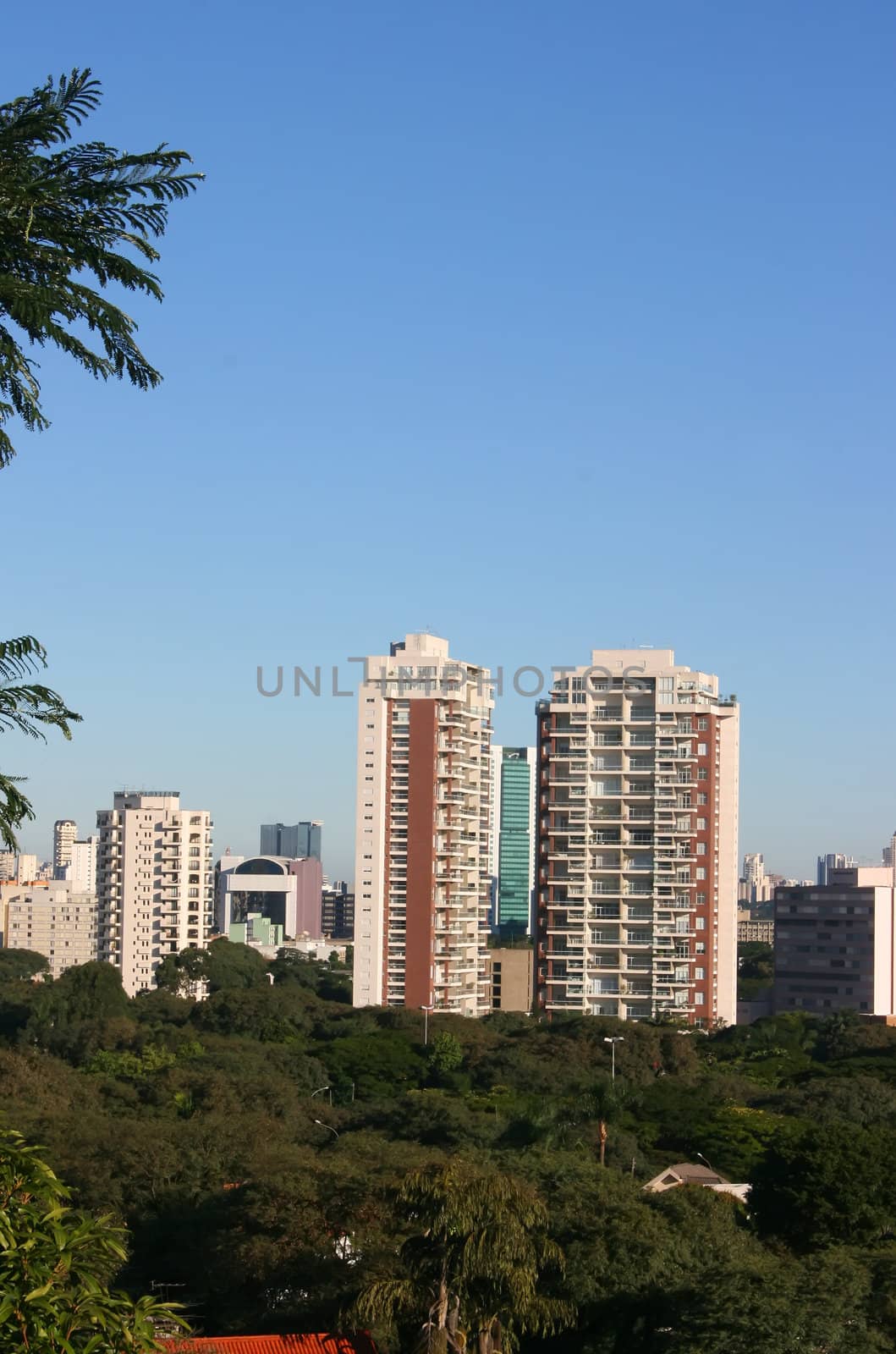 Skyline of Sao Paulo, Brazil.