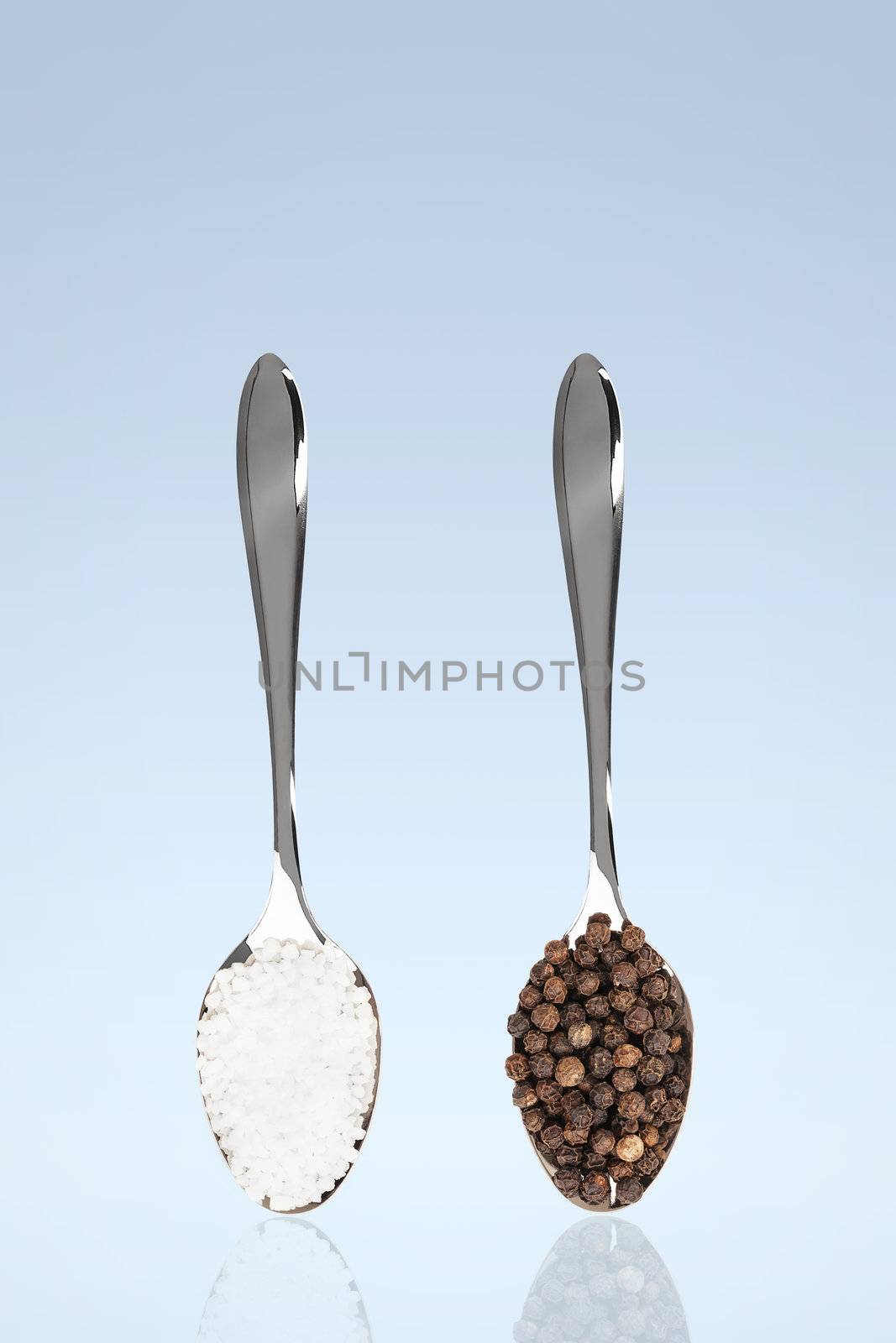 salt and pepper on spoons by RobStark