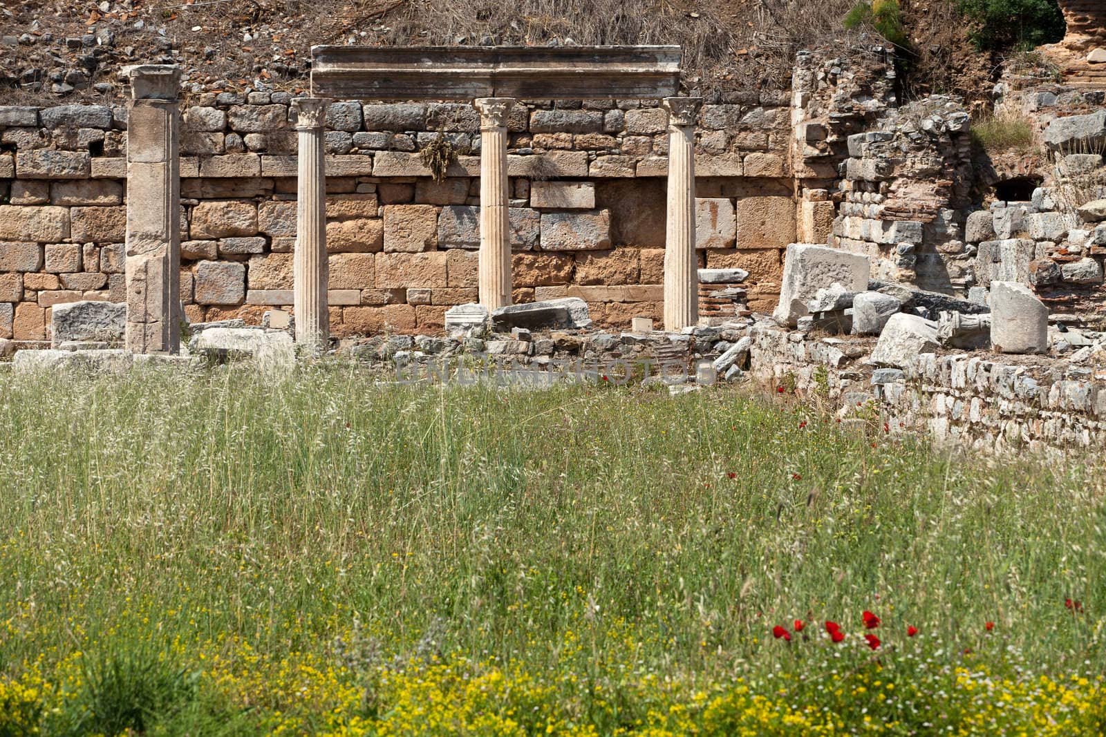 Ruins of the ancient Greek city Ephesus