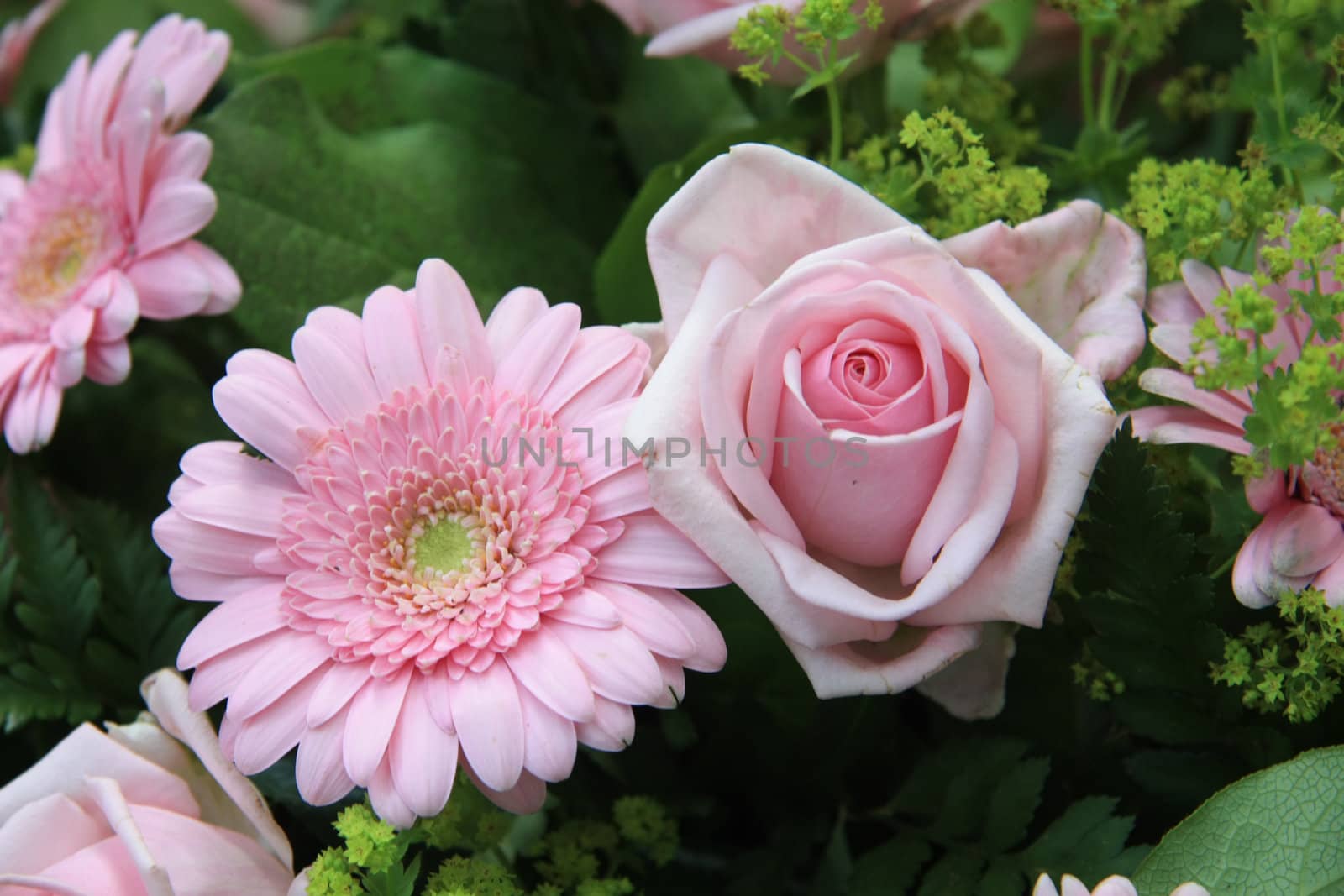 Soft pink roses and gerbera in a flower arrangement