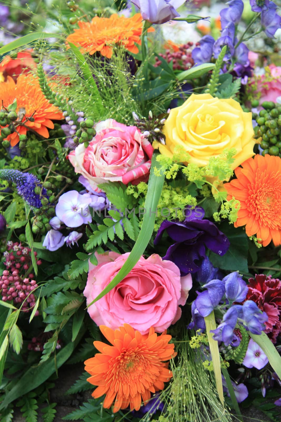 Multicolored floral arrangement with different sorts of flowers in bright colors