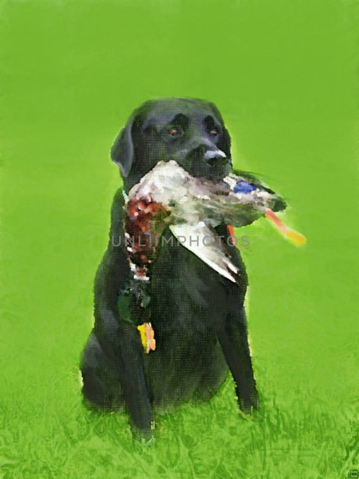 oil painting portrait of black labrador with duck by Yarvet