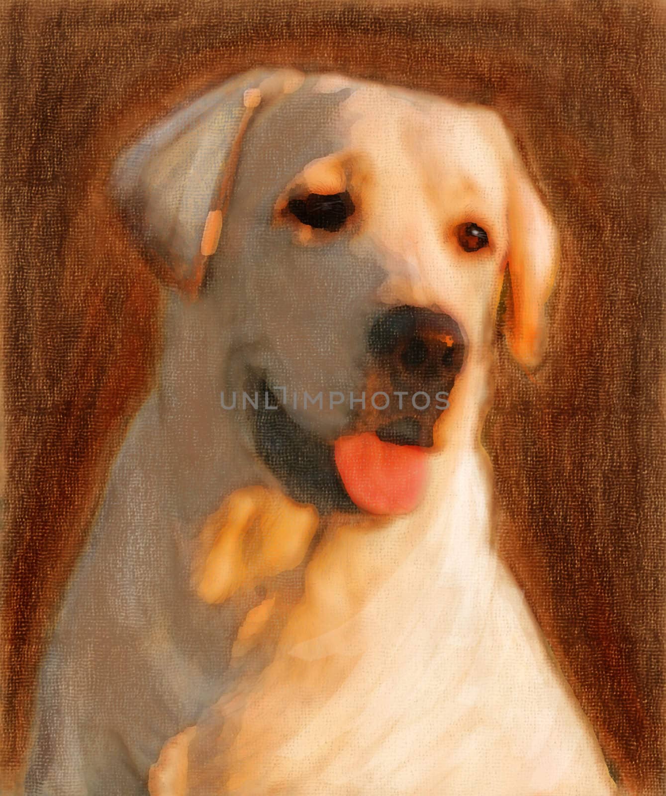 oil painting portrait of young yellow labrador in autumn