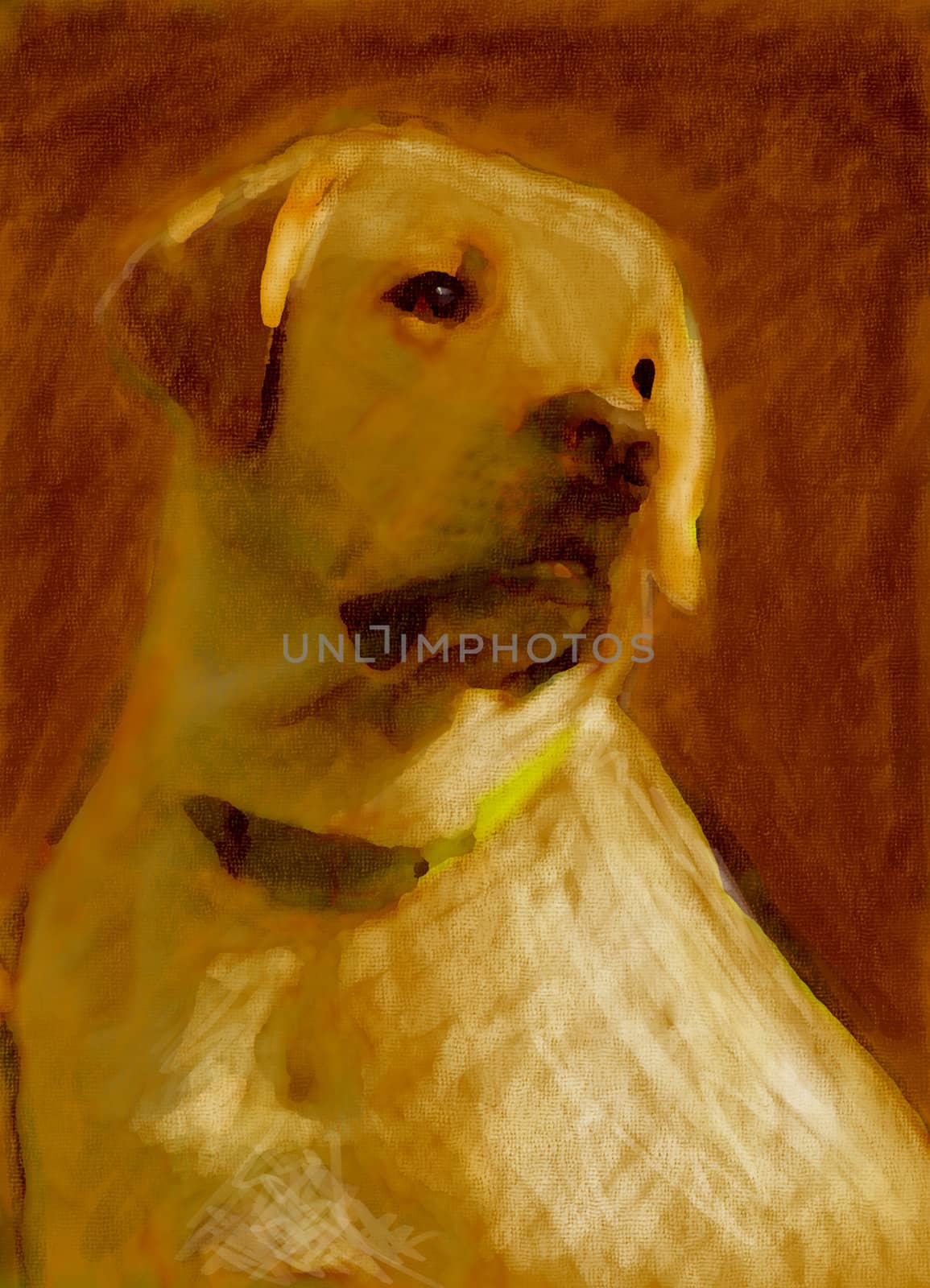 oil painting portrait of yellow labrador in autumn