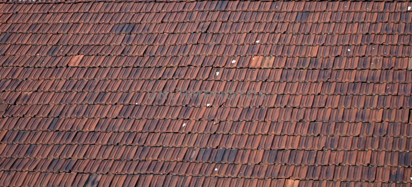 Roof Tile Pattern by Stoyanov