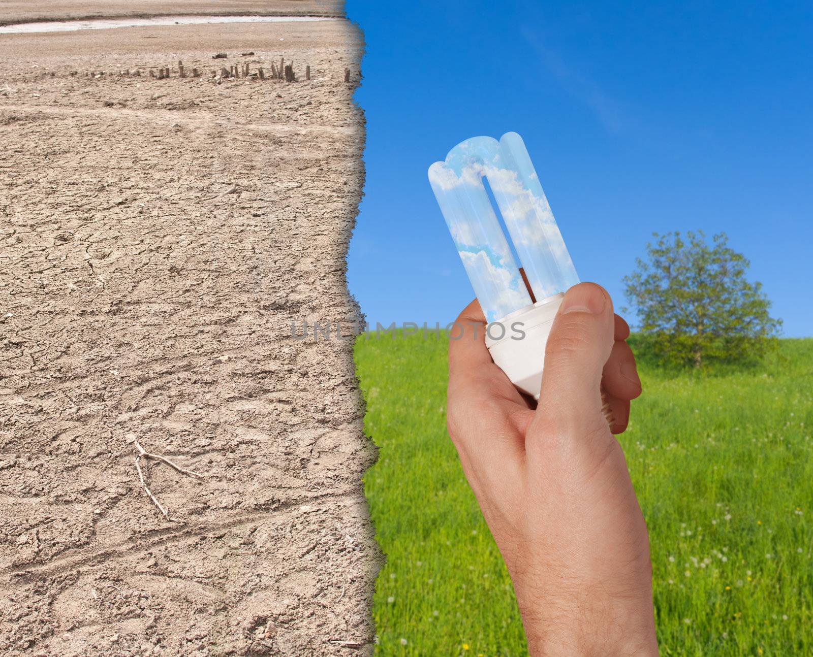 Glowing Energy Saving Bulb in Hand - Green Meadow and Dried Earth in Background