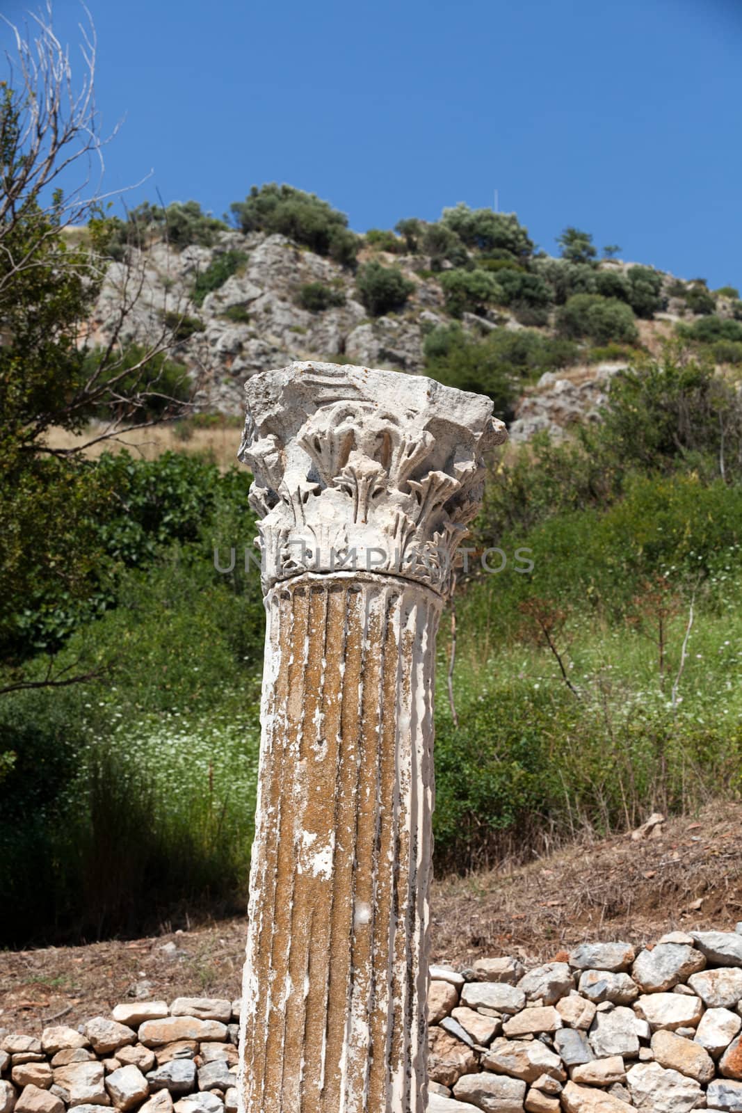 Ruins of the ancient Greek city Ephesus