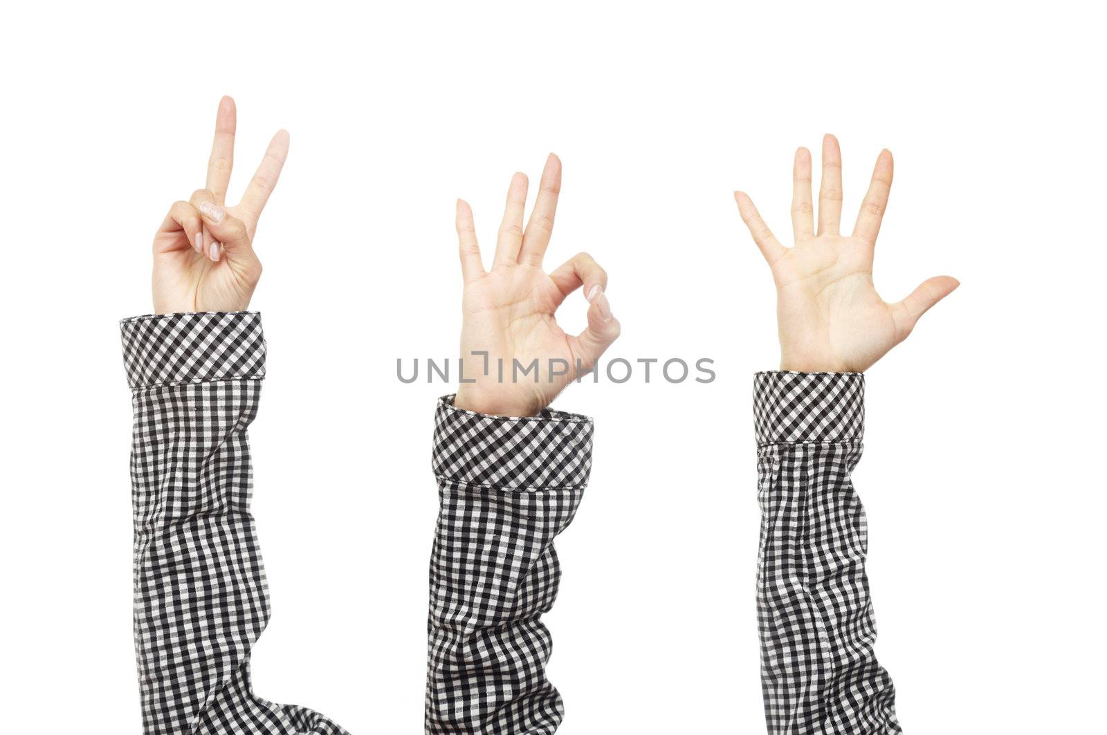 Close-up photo of the human hands in chequered shirt with various gestures on a white background