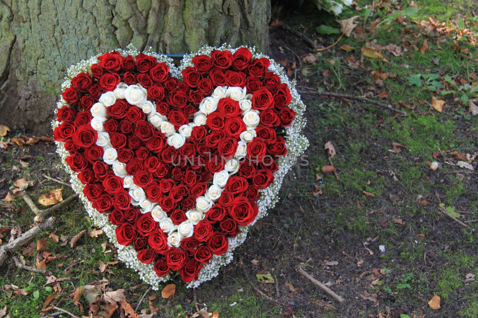 Sympathy flowers in a heart shape near a tree