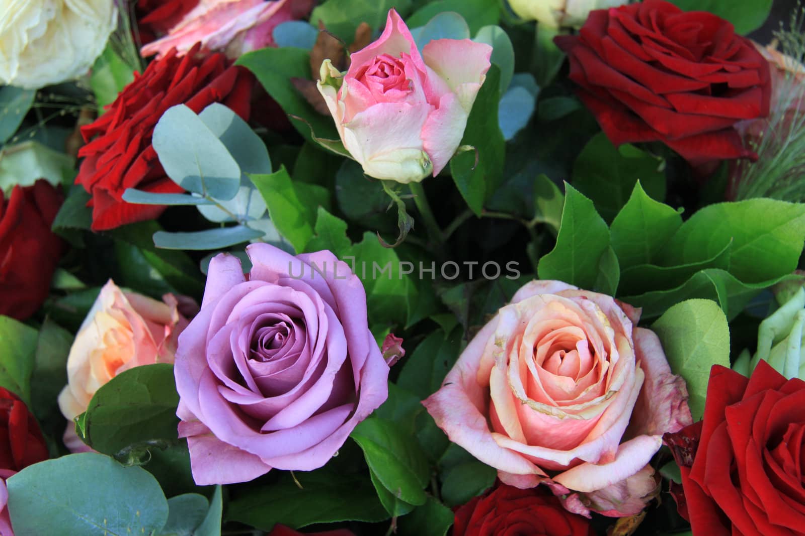 Floral arrangement with roses only in bright colors