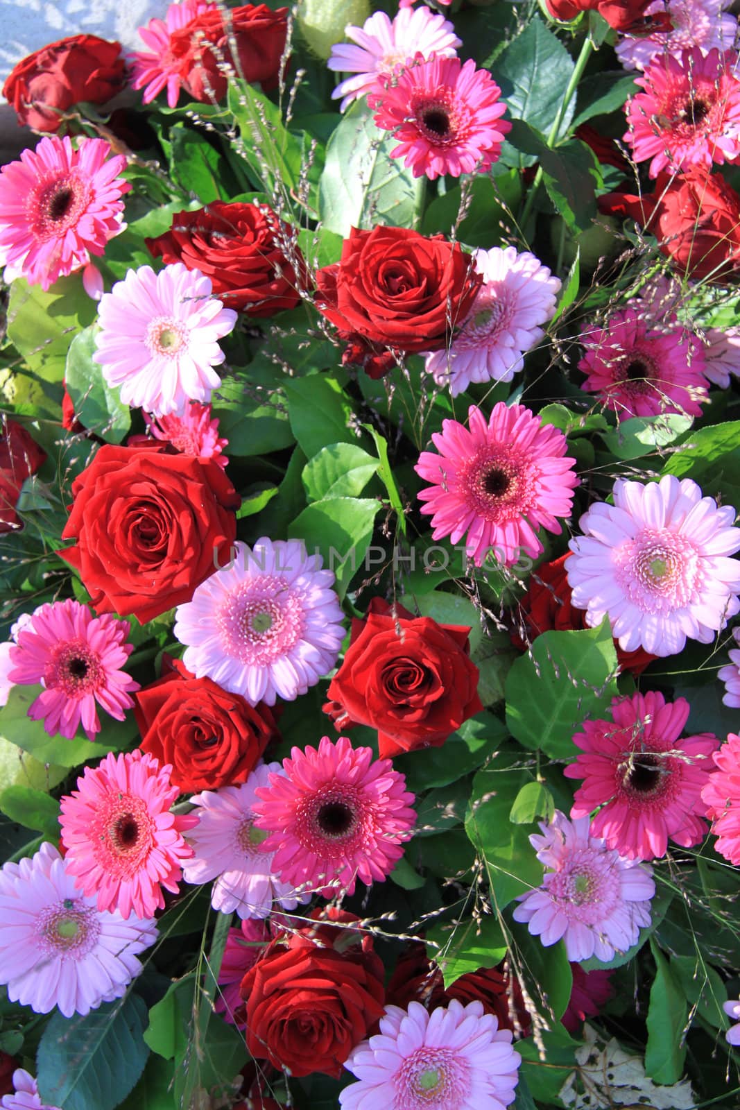 red rose and pink gerbera flower arrangement by studioportosabbia