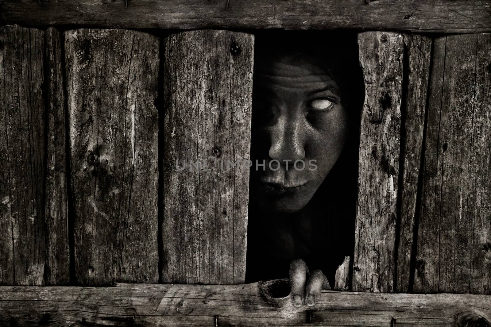 Horrifying girl peeking through wooden blanks by domencolja