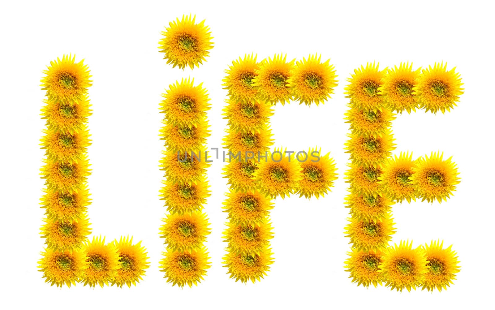 Concept shot of composited sunflowers depicting the word life.