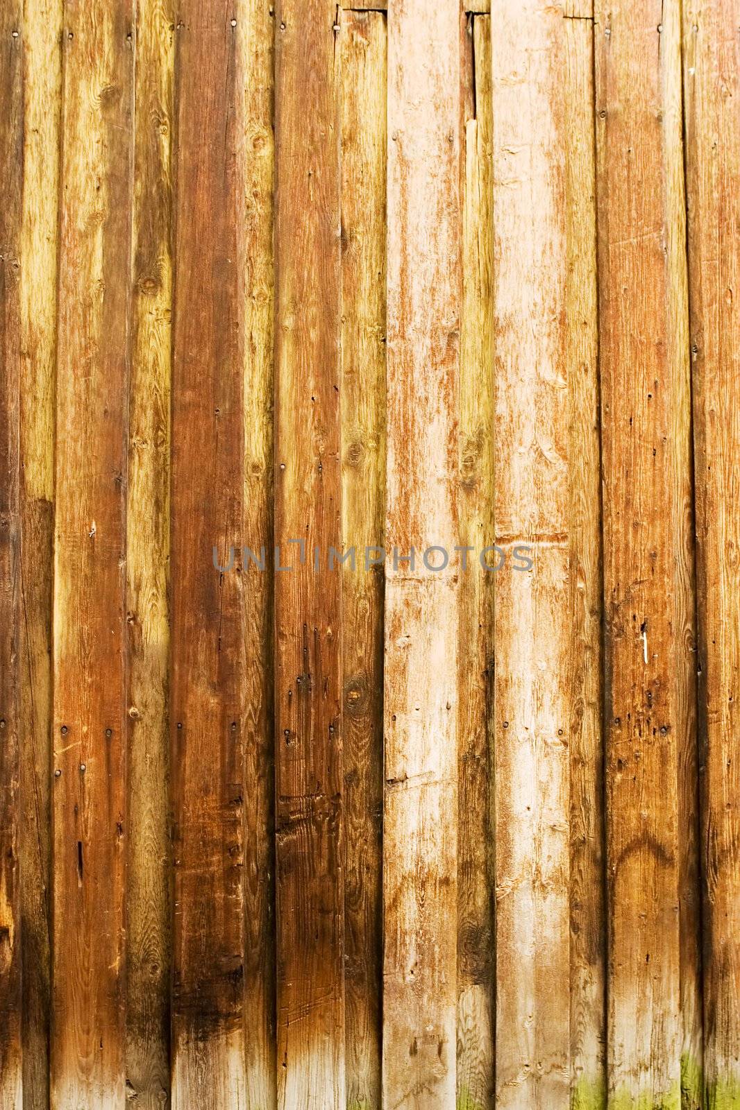Wood Texture by leaf