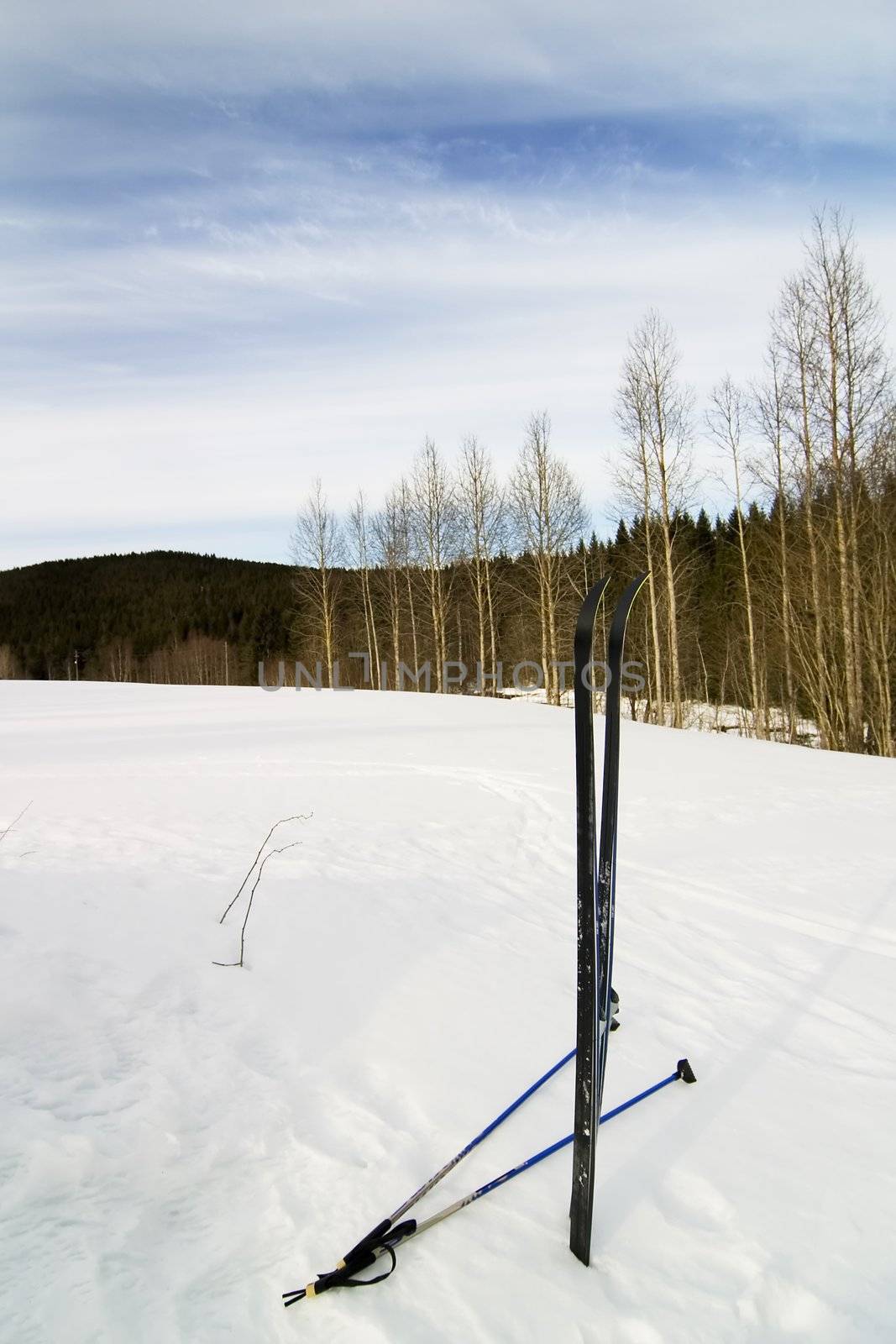 Skis in Snow by leaf