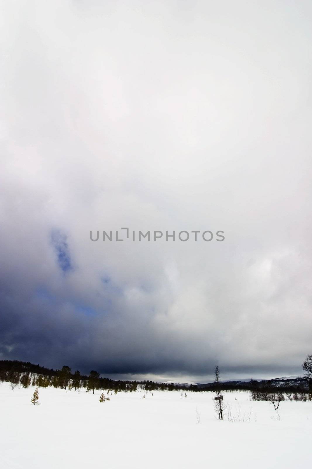 A wintery cold landscape in Norway