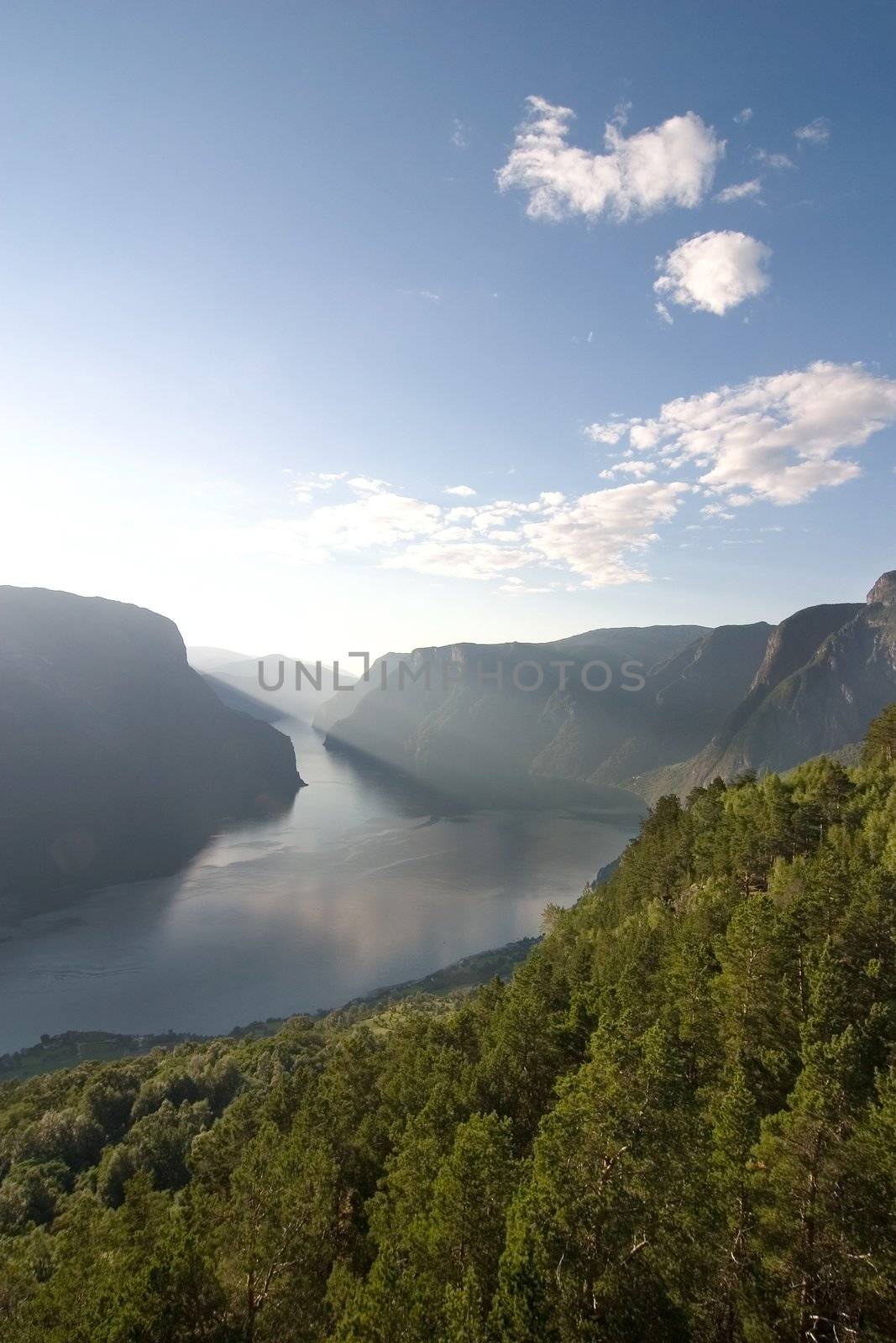 Sognefjord Norway by leaf