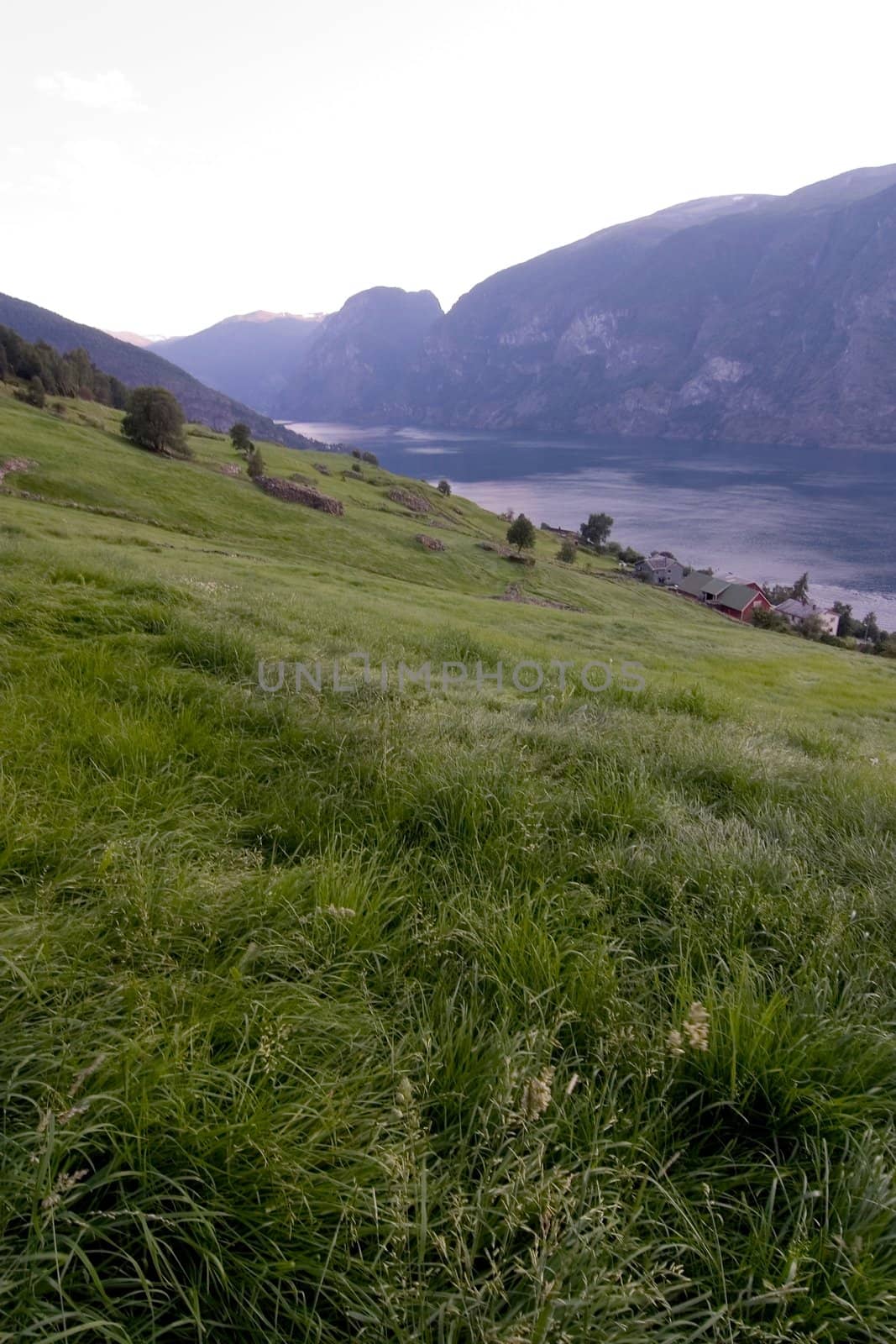 Evening Fjord View by leaf