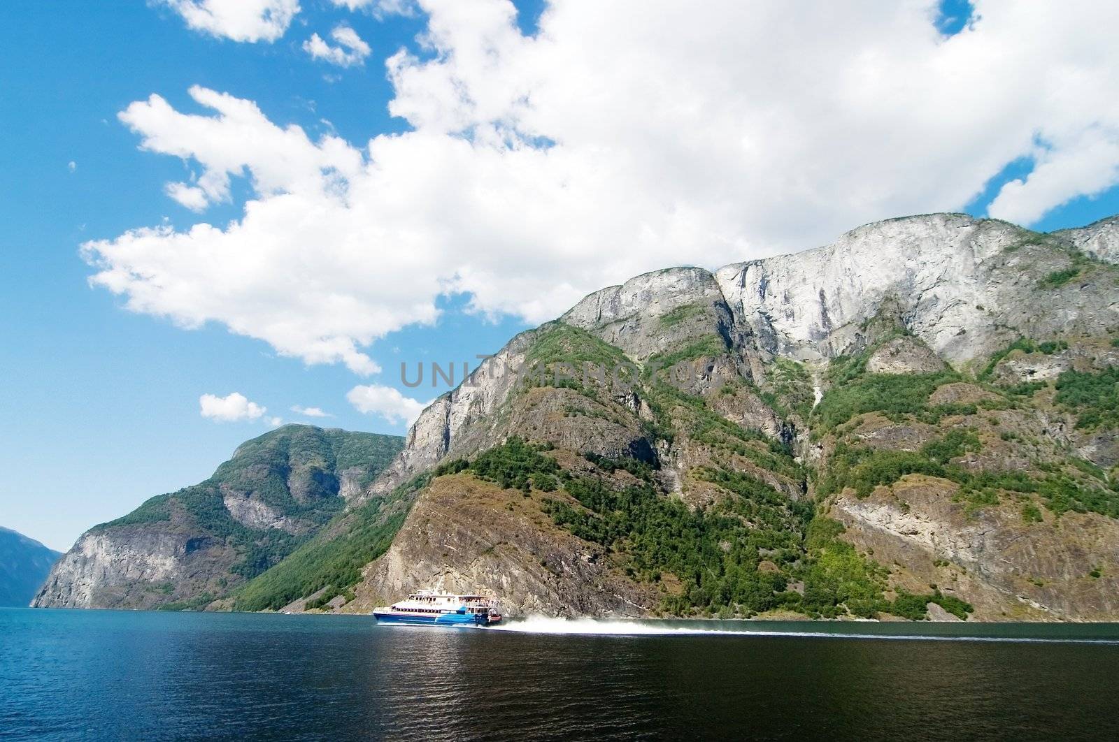 Norway Fjord Scenic with Ferry by leaf