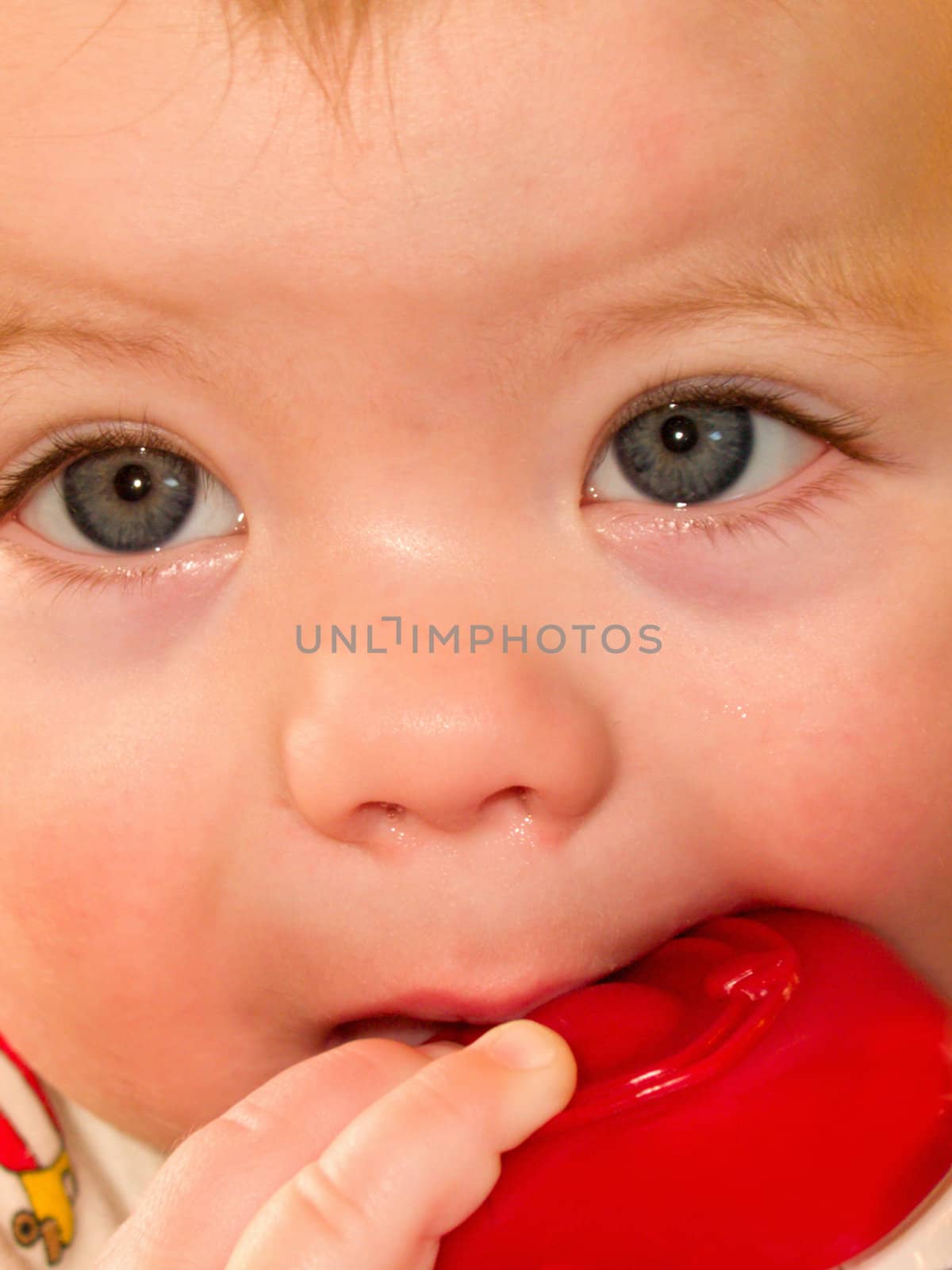 Cute baby boy sucking on  toy