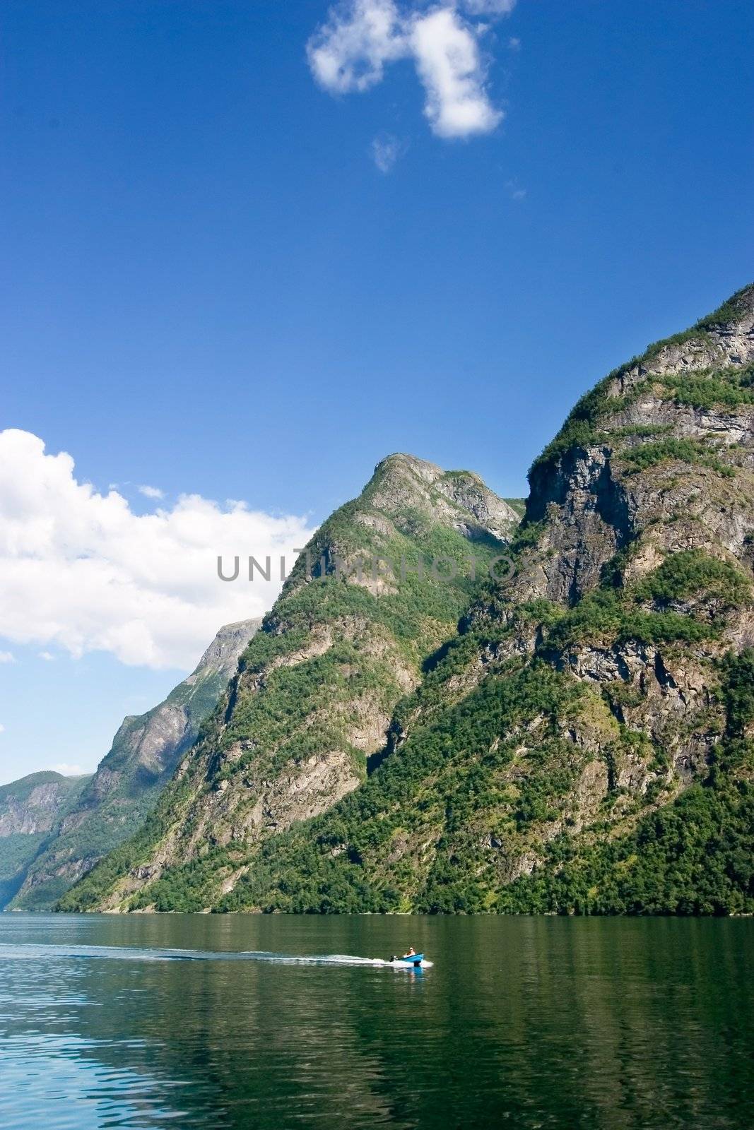 Sognefjord Norway by leaf