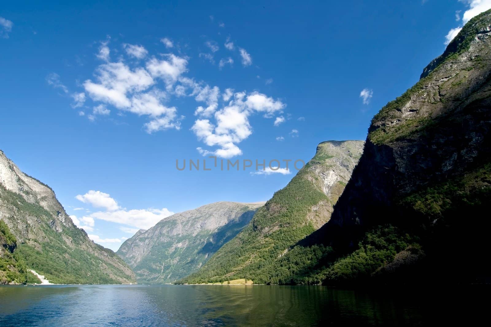 Sognefjord Norway by leaf