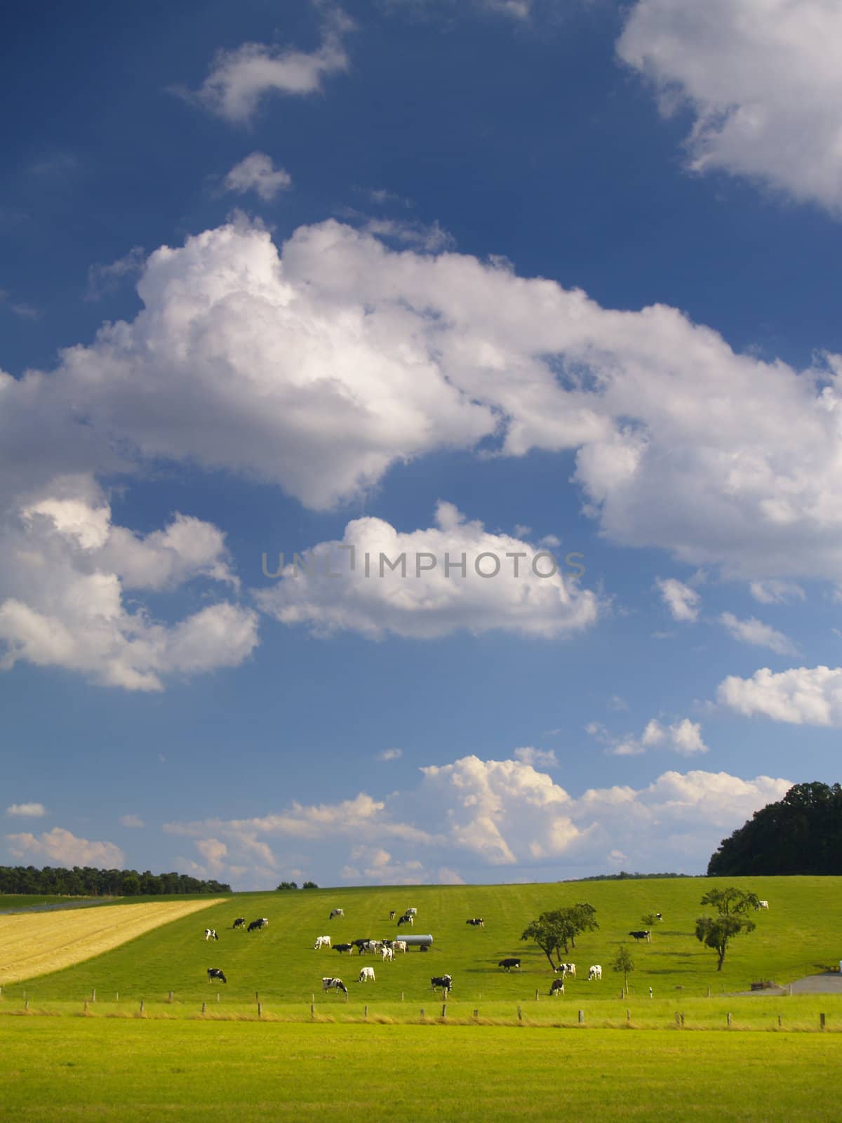 white clouds over green farmland