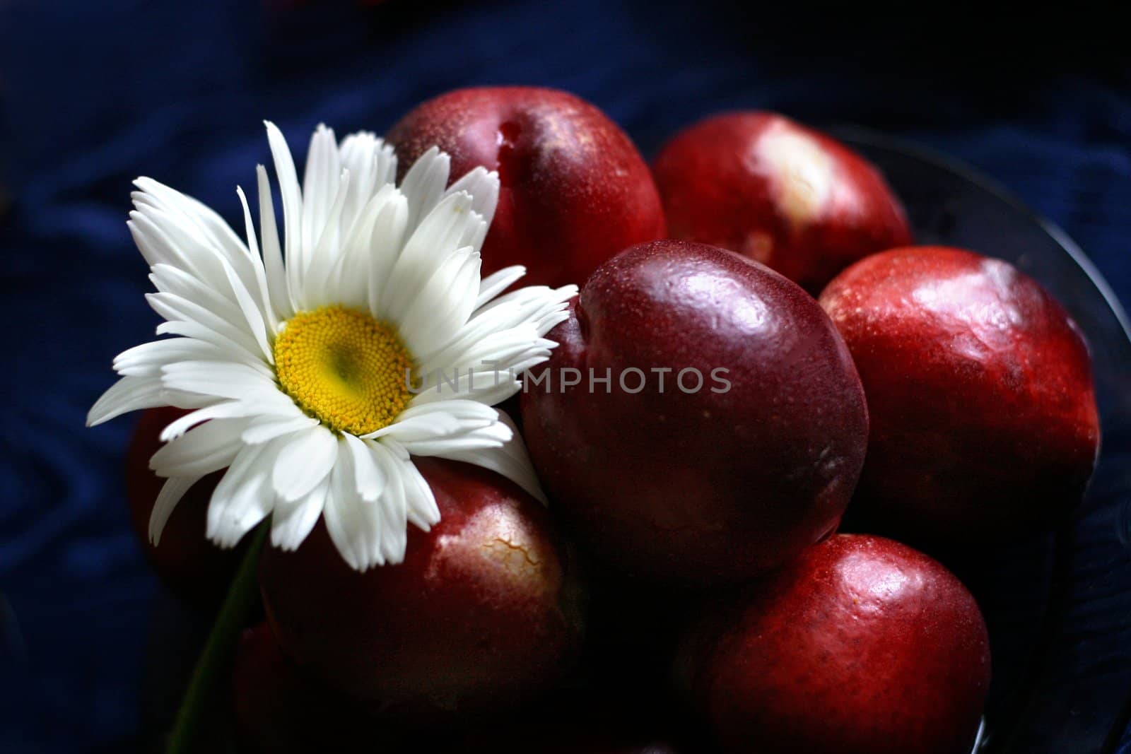 The plate, full fruits with a camomile