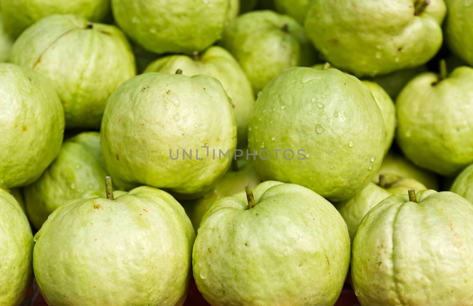 Fresh guava fruit in the market