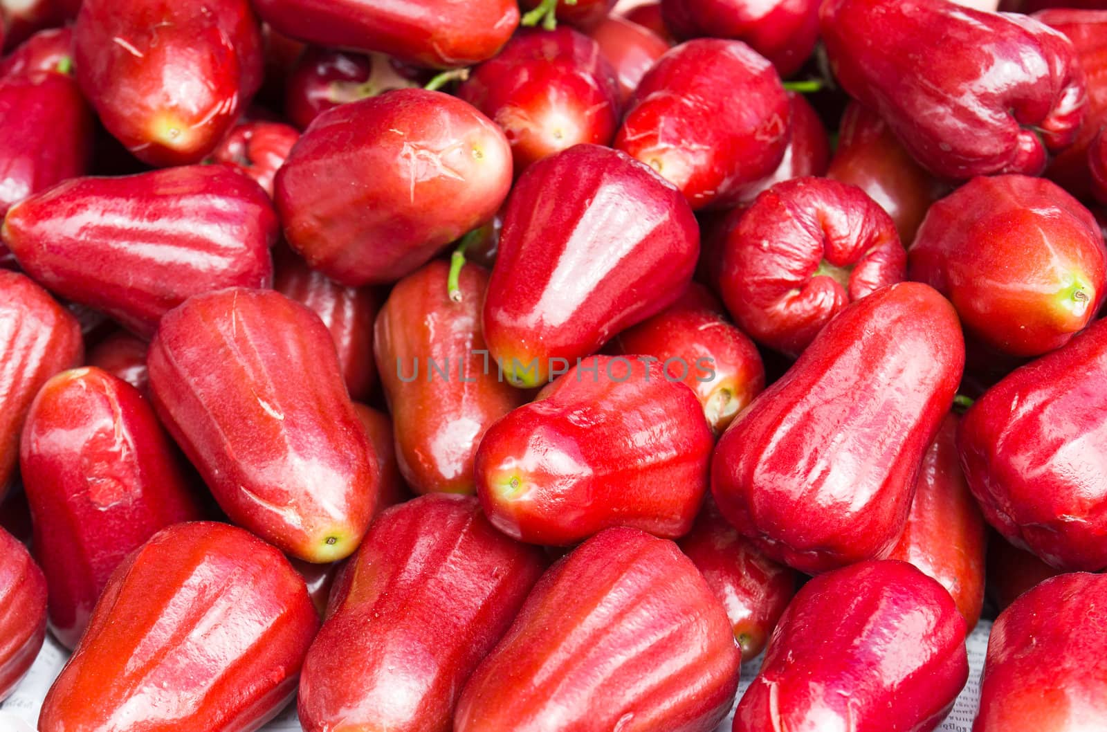 Fresh rose apple fruit  by stoonn