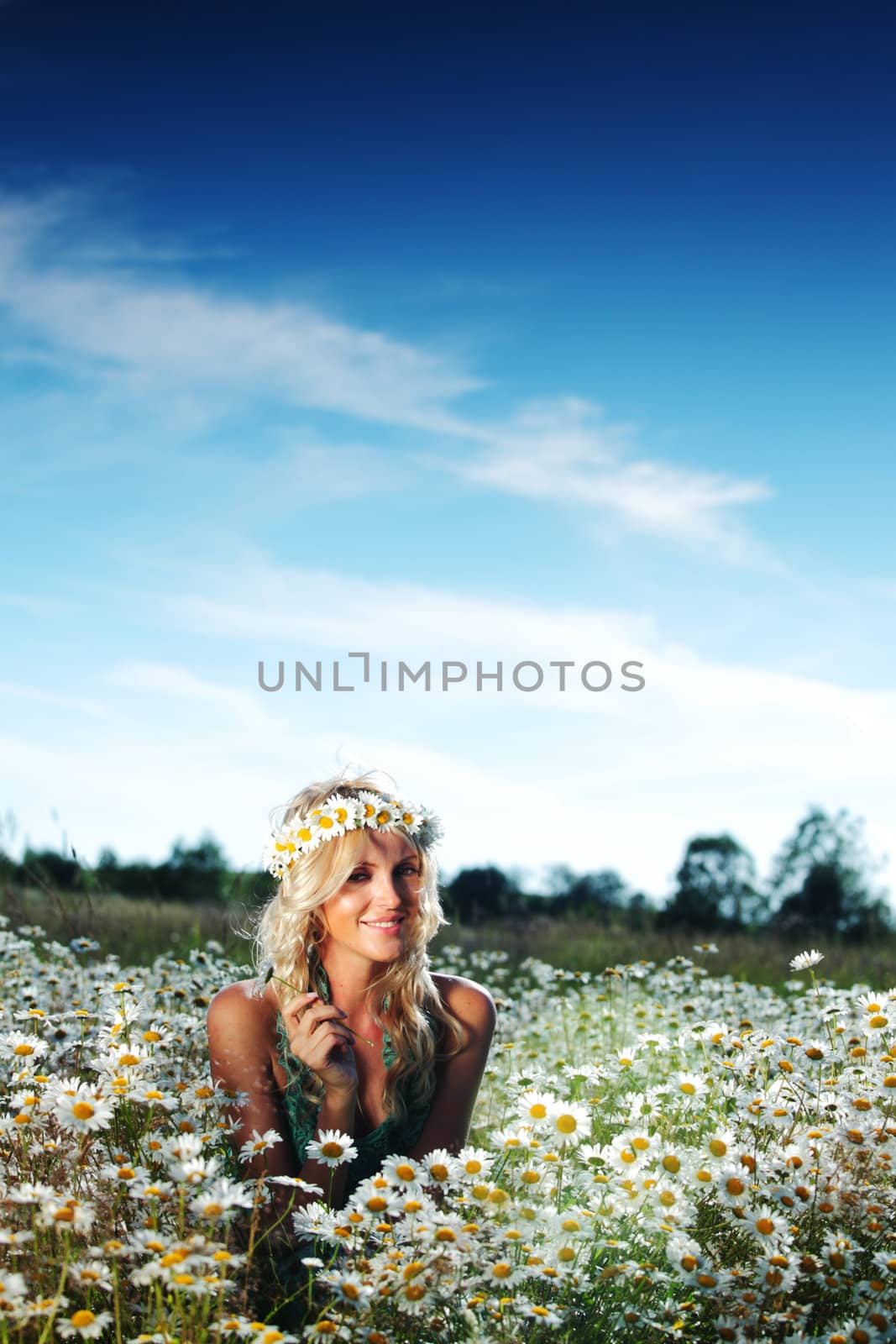 beautiful girl on the daisy flowers field 