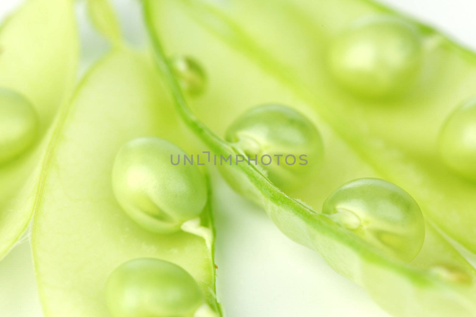  Pea isolated on white close up