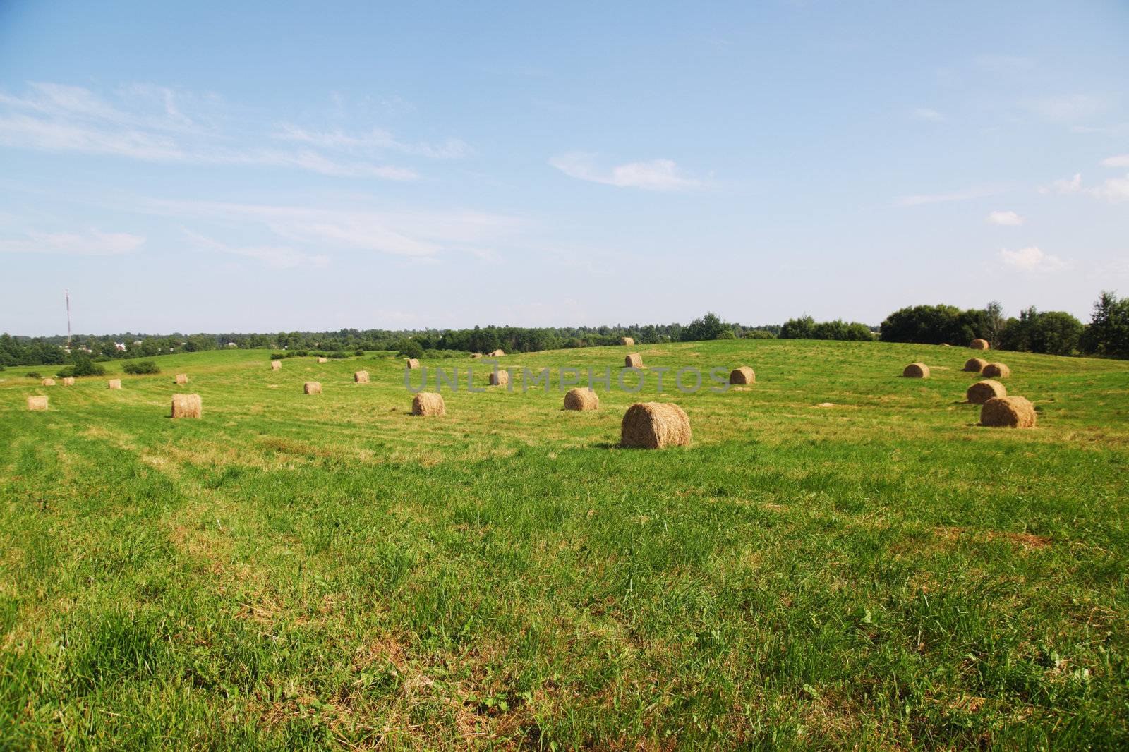 hay on field under blue sky
