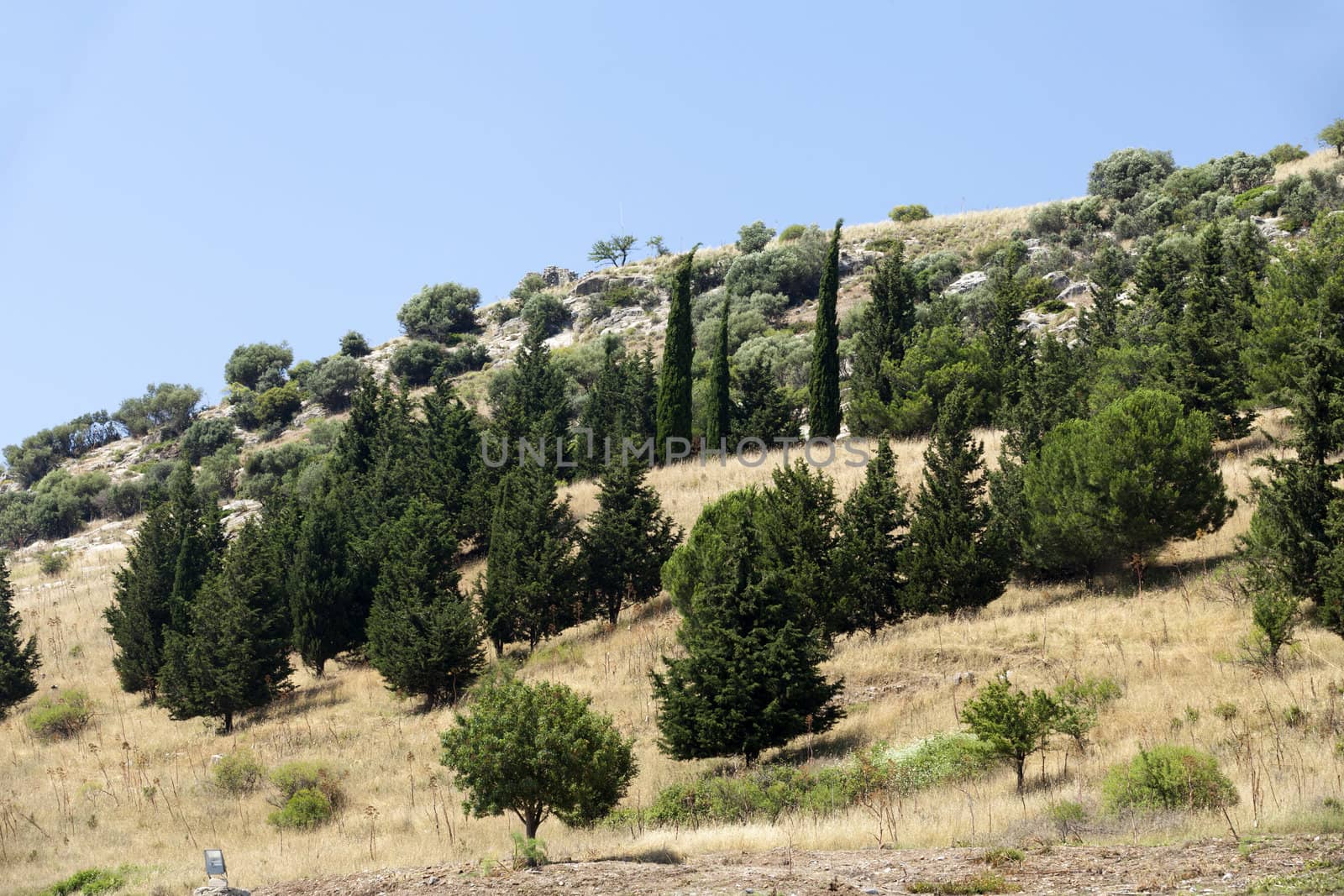 Ruins of the ancient Greek city Ephesus
