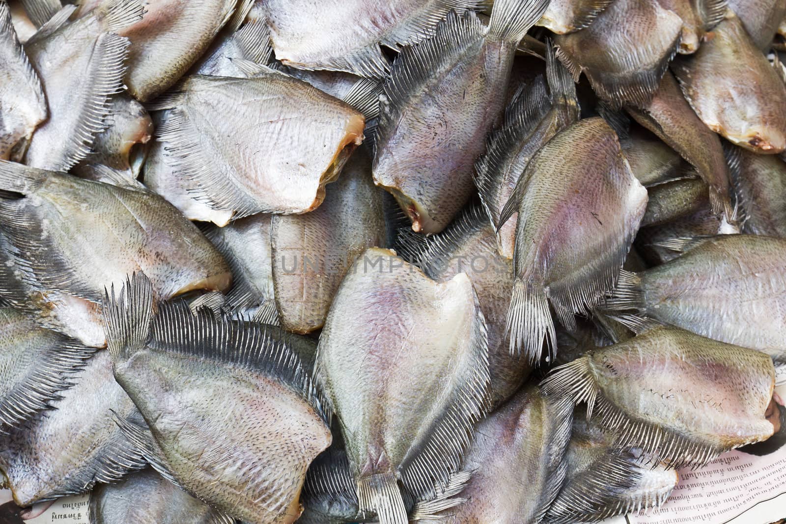 Salid Fish for sale in market ,Thailand.