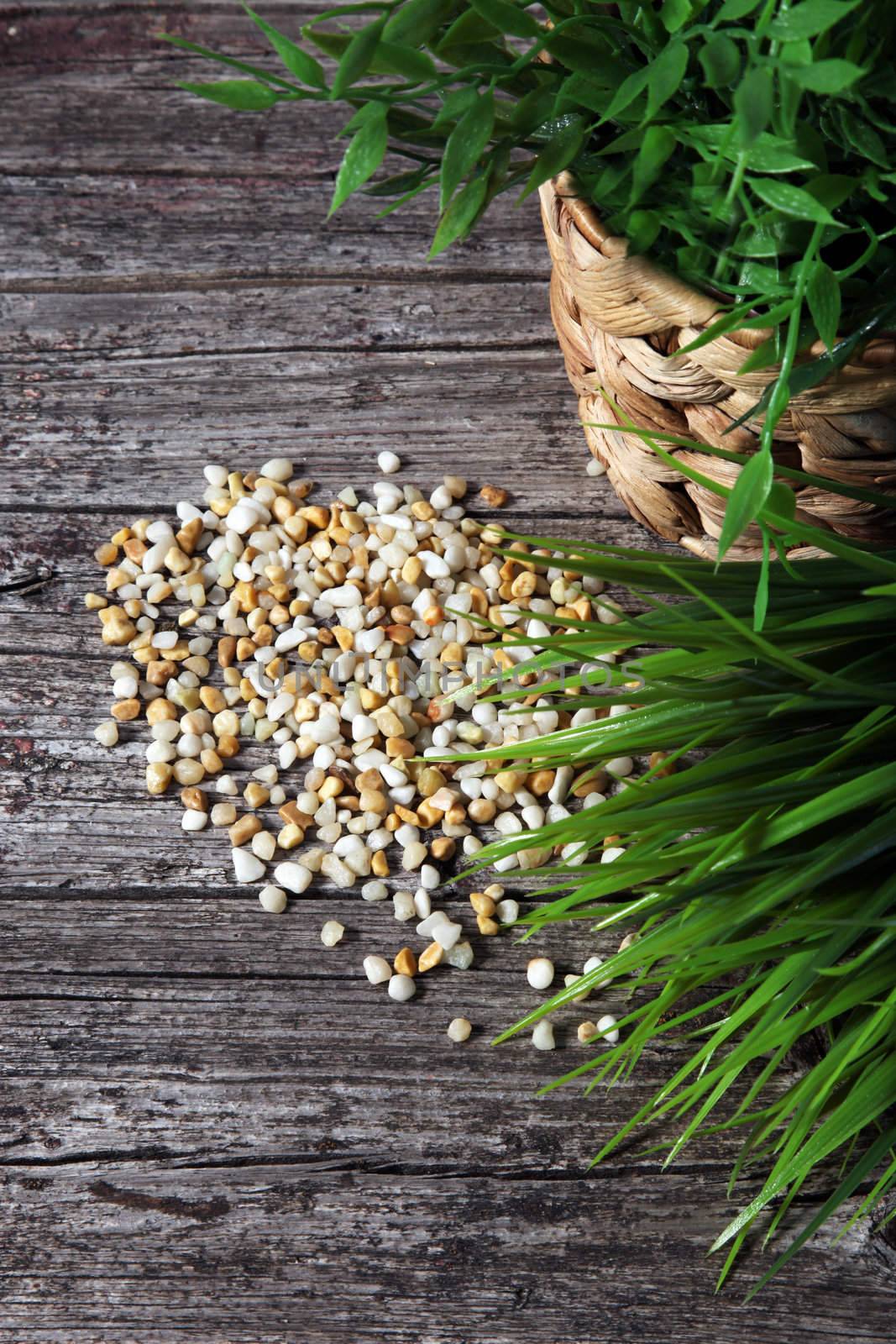 Natural pebbles and greenery by Farina6000