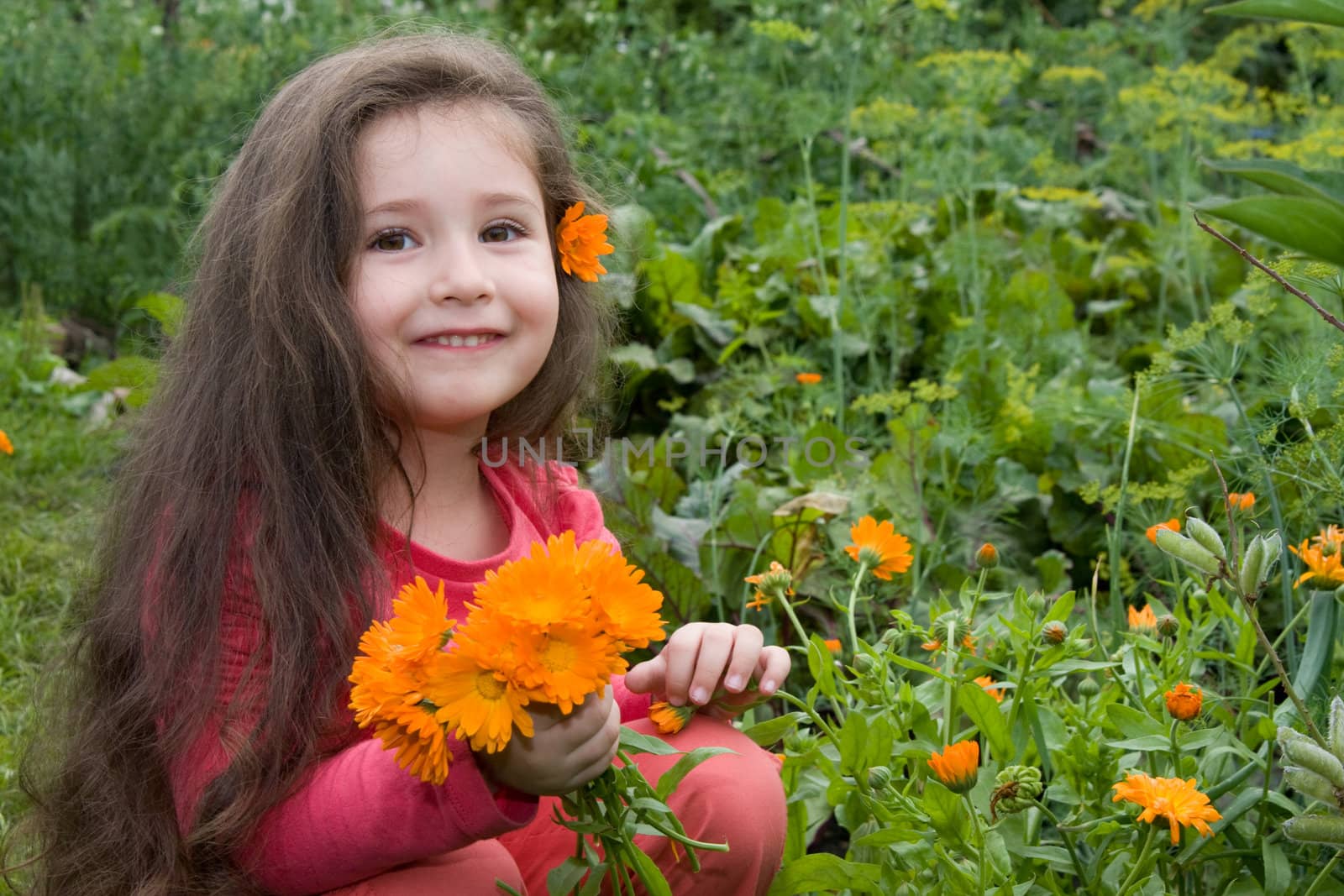 The little girl collects flowers