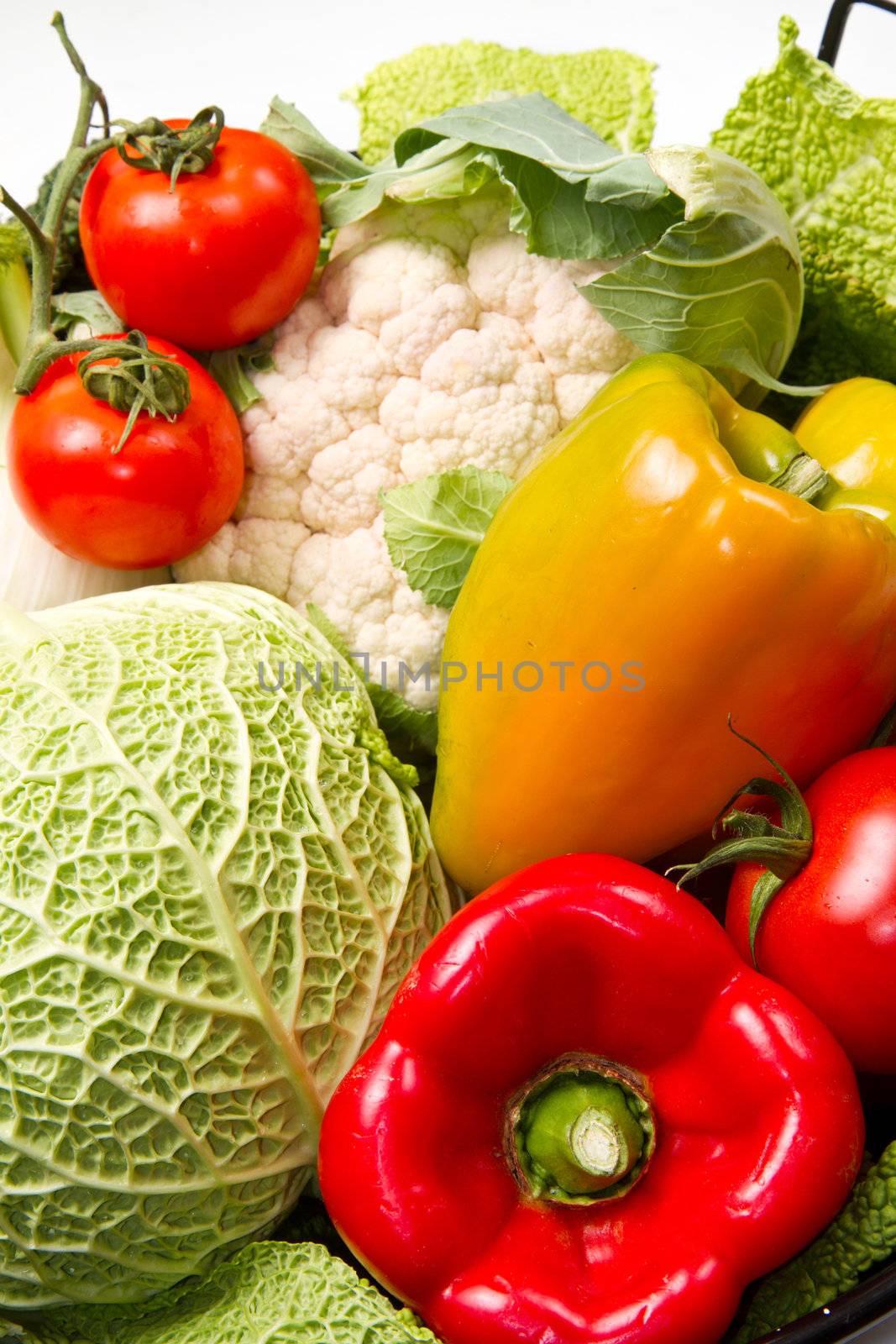 different group of fresh vegetables