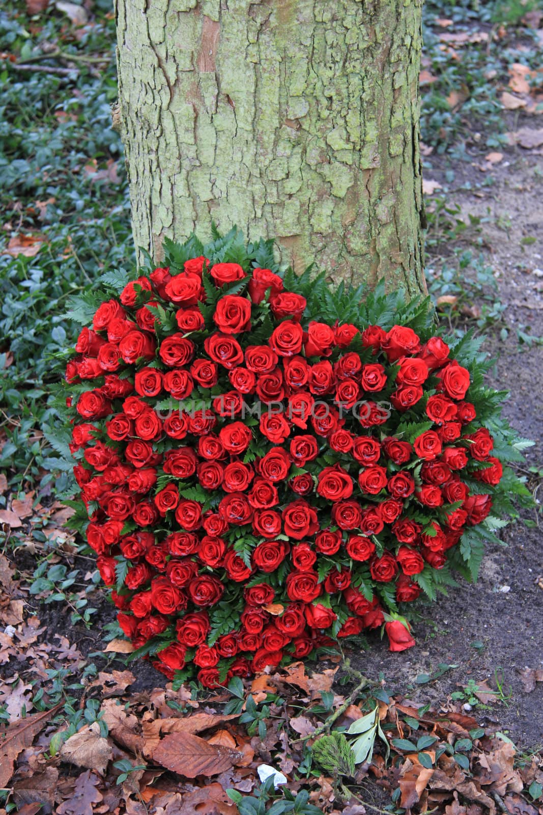 Floral arrangement for funeral in heart shape, red roses