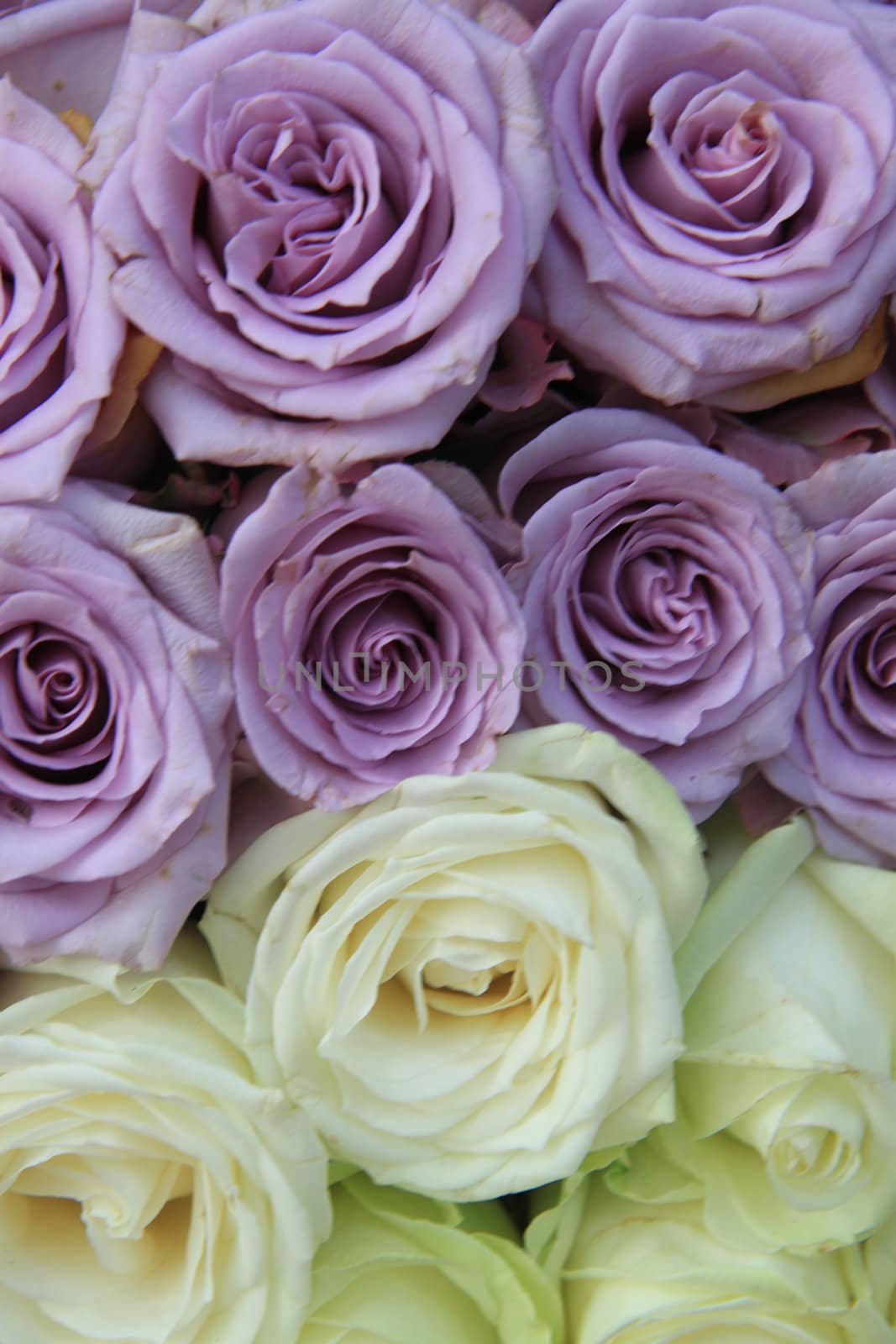 Floral arrangement with lilac and white roses