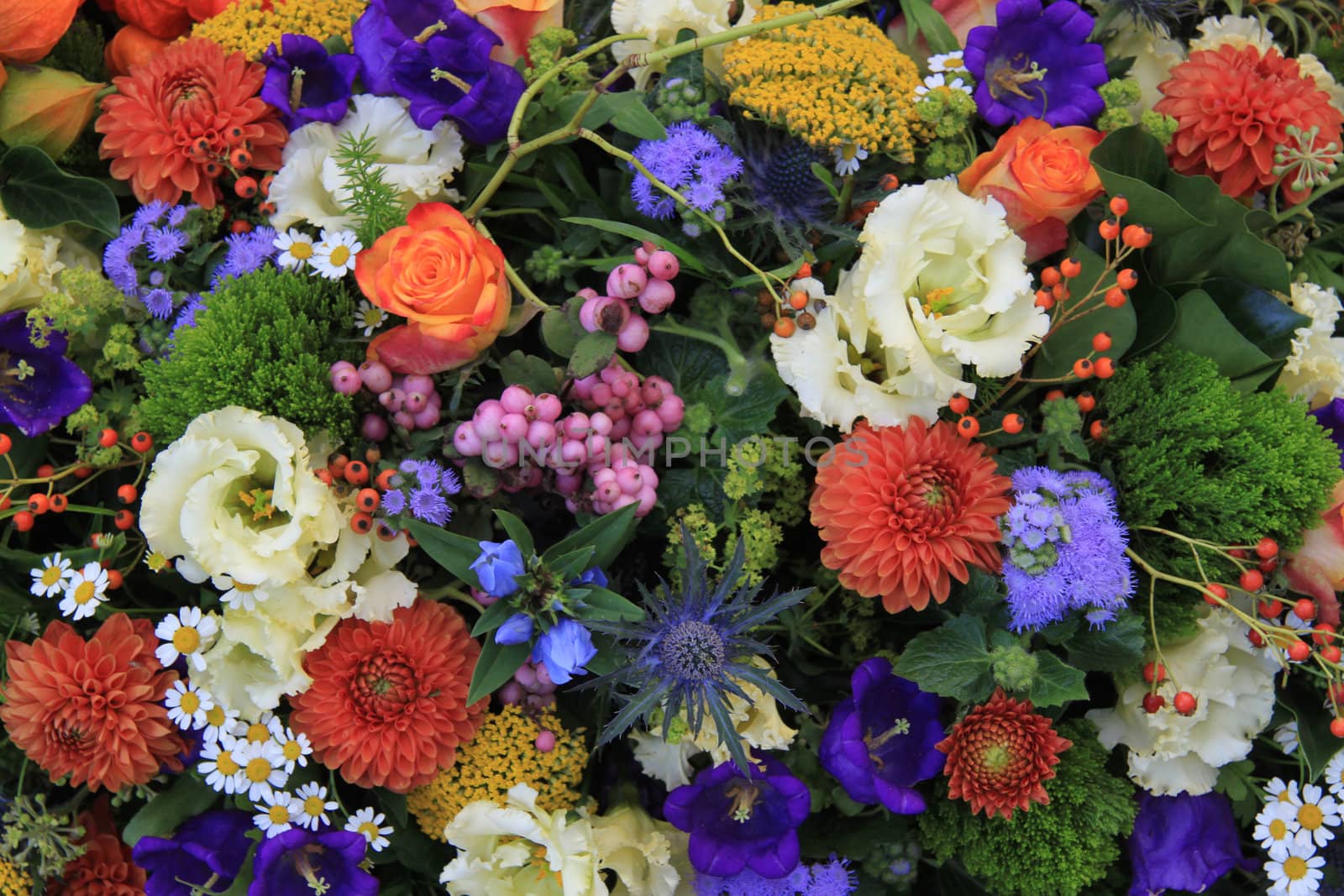 Floral arrangement with flowers and berries in bright colors
