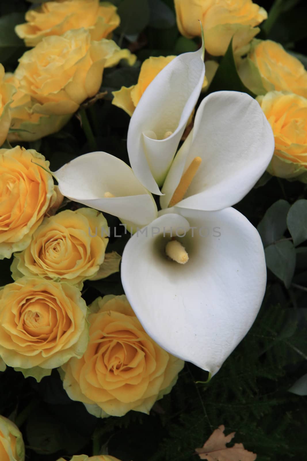 Floral arrangement with white arums and yellow roses