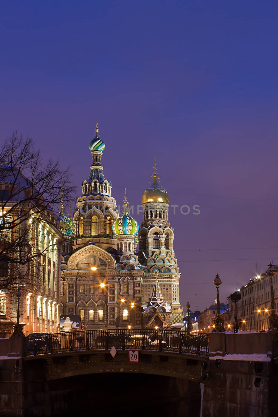 Night vertical view of Temple of the Resurrection of Christ (spas na krovi) Russia