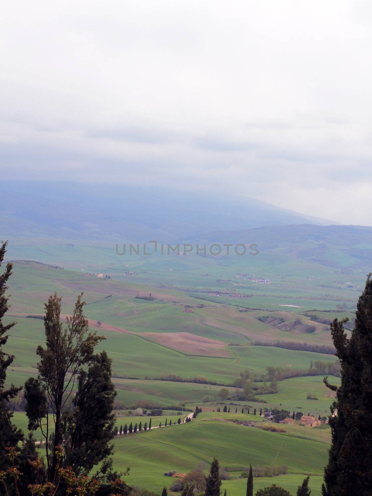 Tuscan Hills by keki