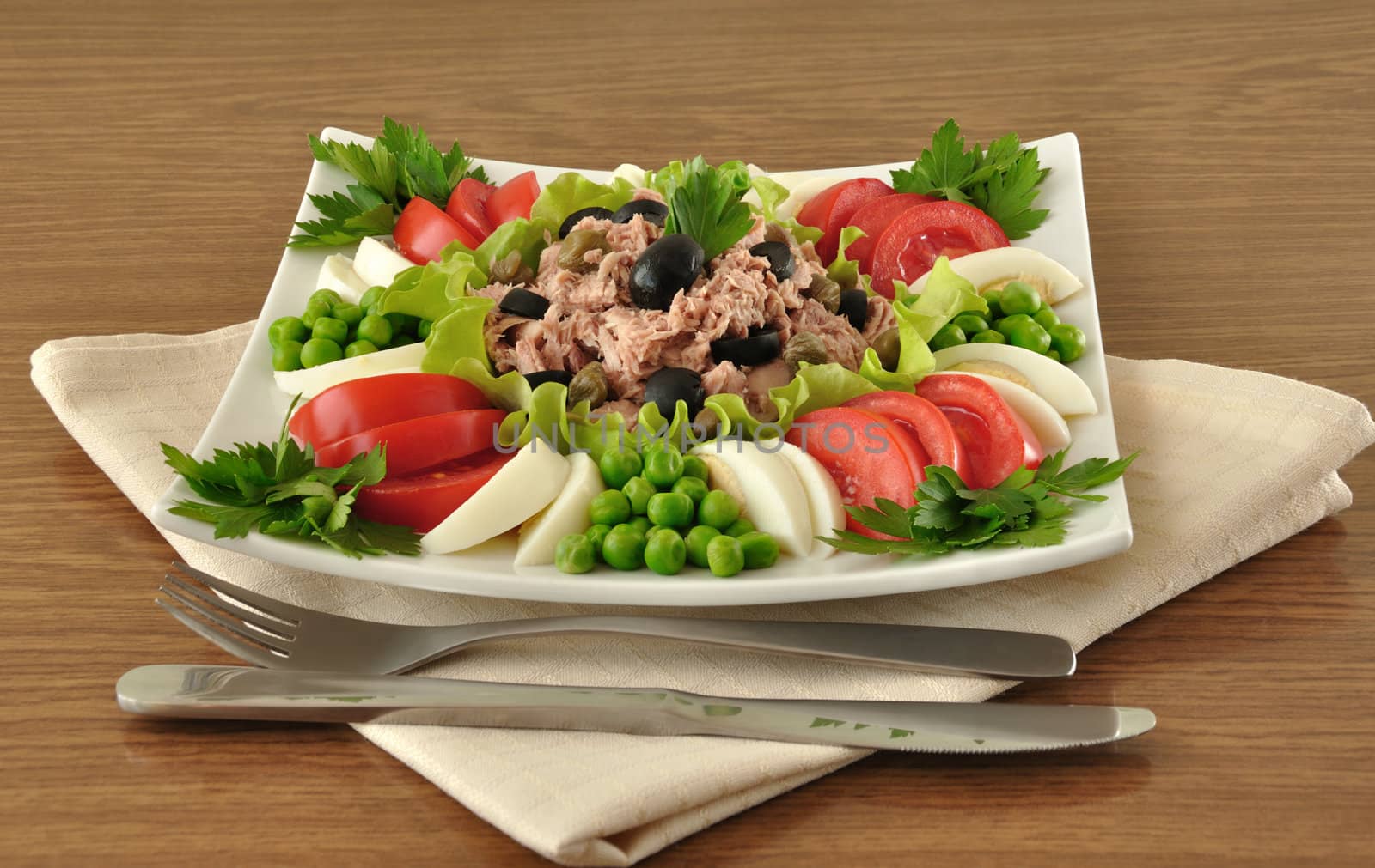 Tuna with olives and capers and surrounded by diced vegetables