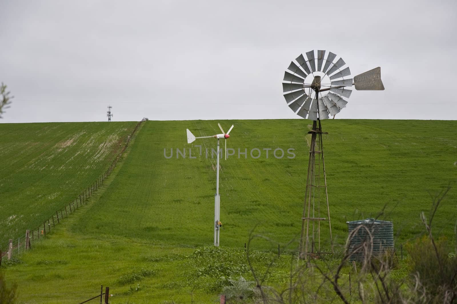 hill and grass in the australian landscape, south australia