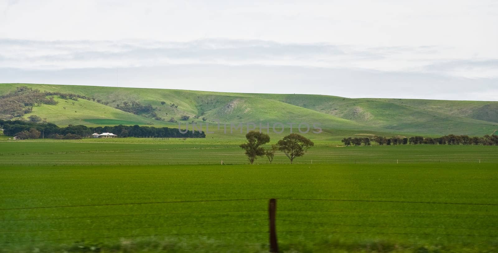 hill and grass in the australian landscape, south australia