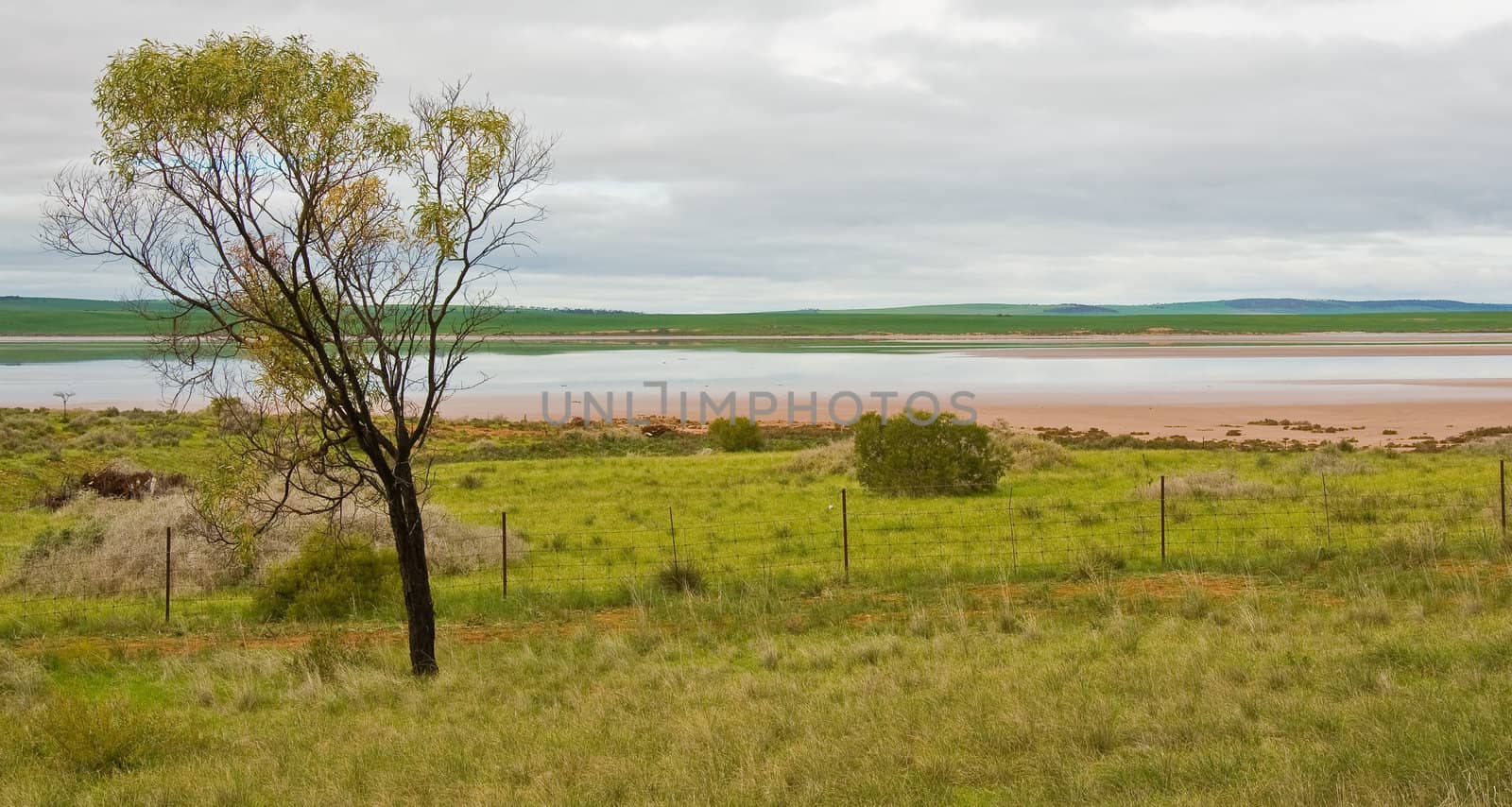 hill and grass in the australian landscape, south australia