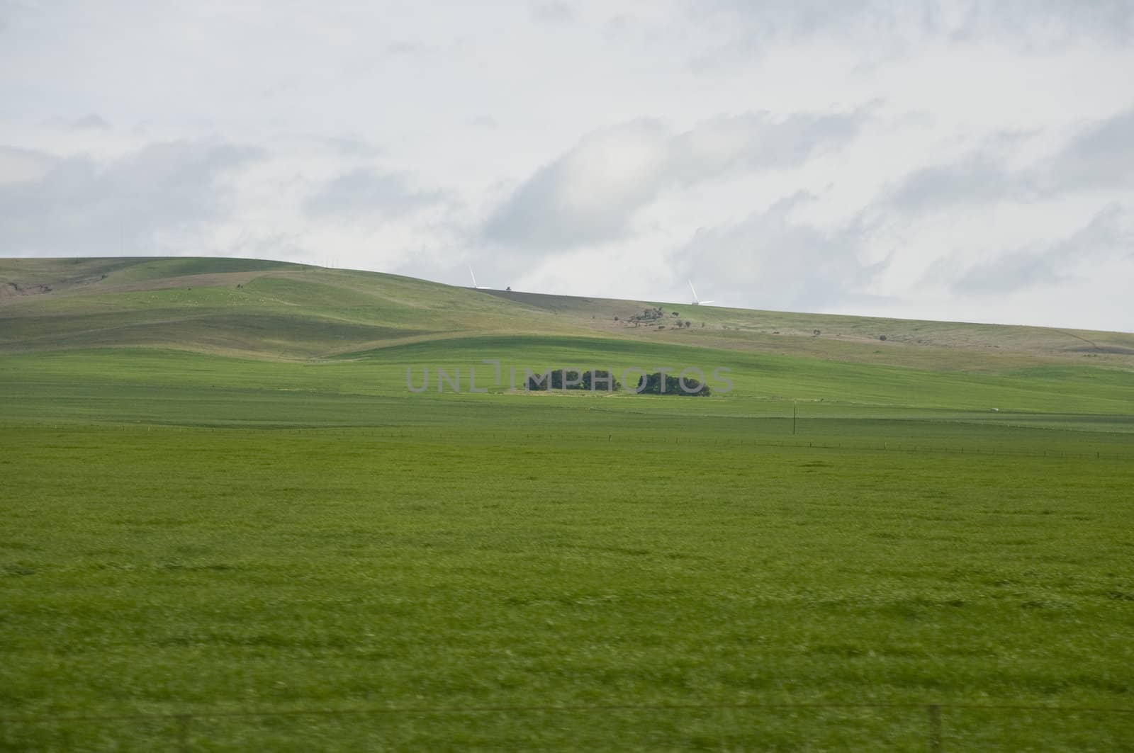 hill and grass in the australian landscape, south australia